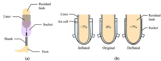 Seven Facts About Lower and Upper Leg Prosthetic Devices