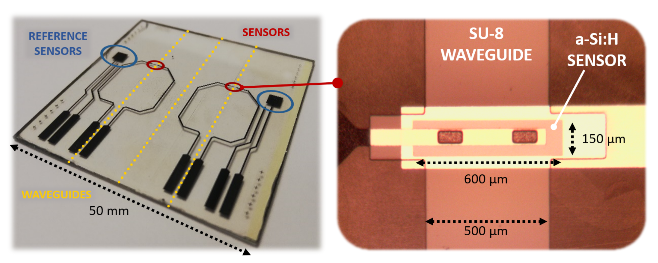 Sensors 21 00415 g005 Sensors 21 00415 g005