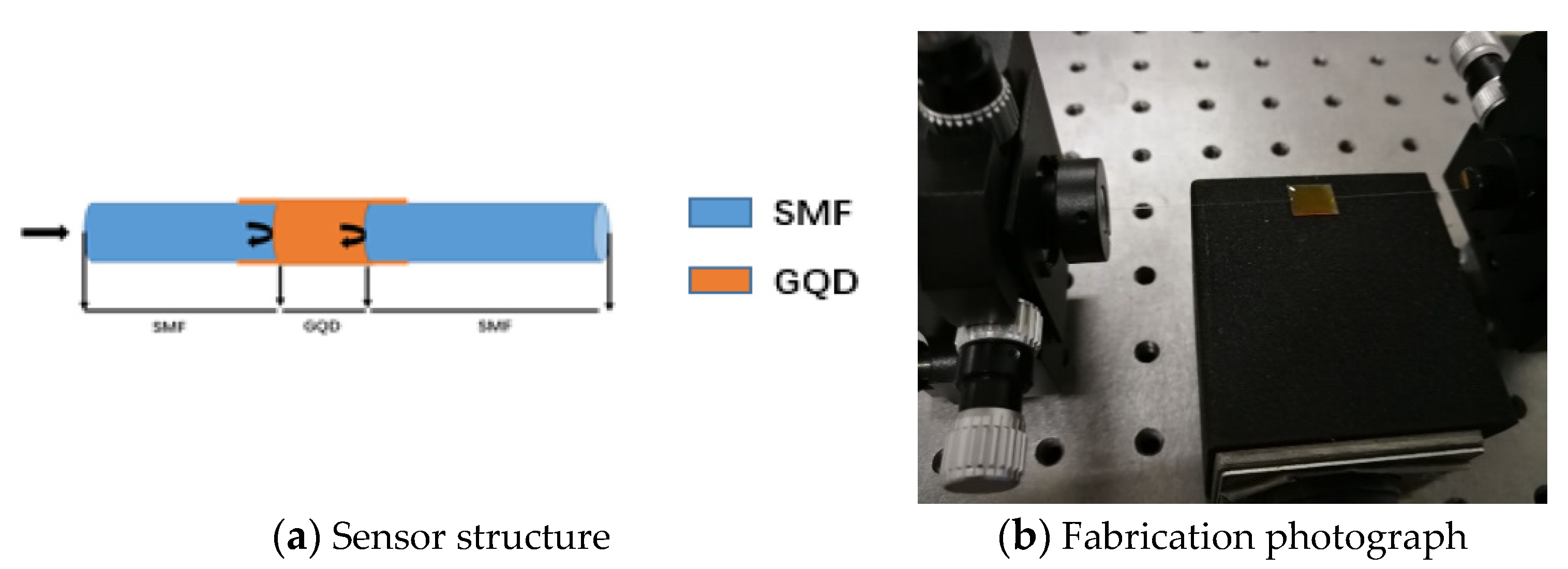 Sensors 21 00806 g001 Sensors 21 00806 g001