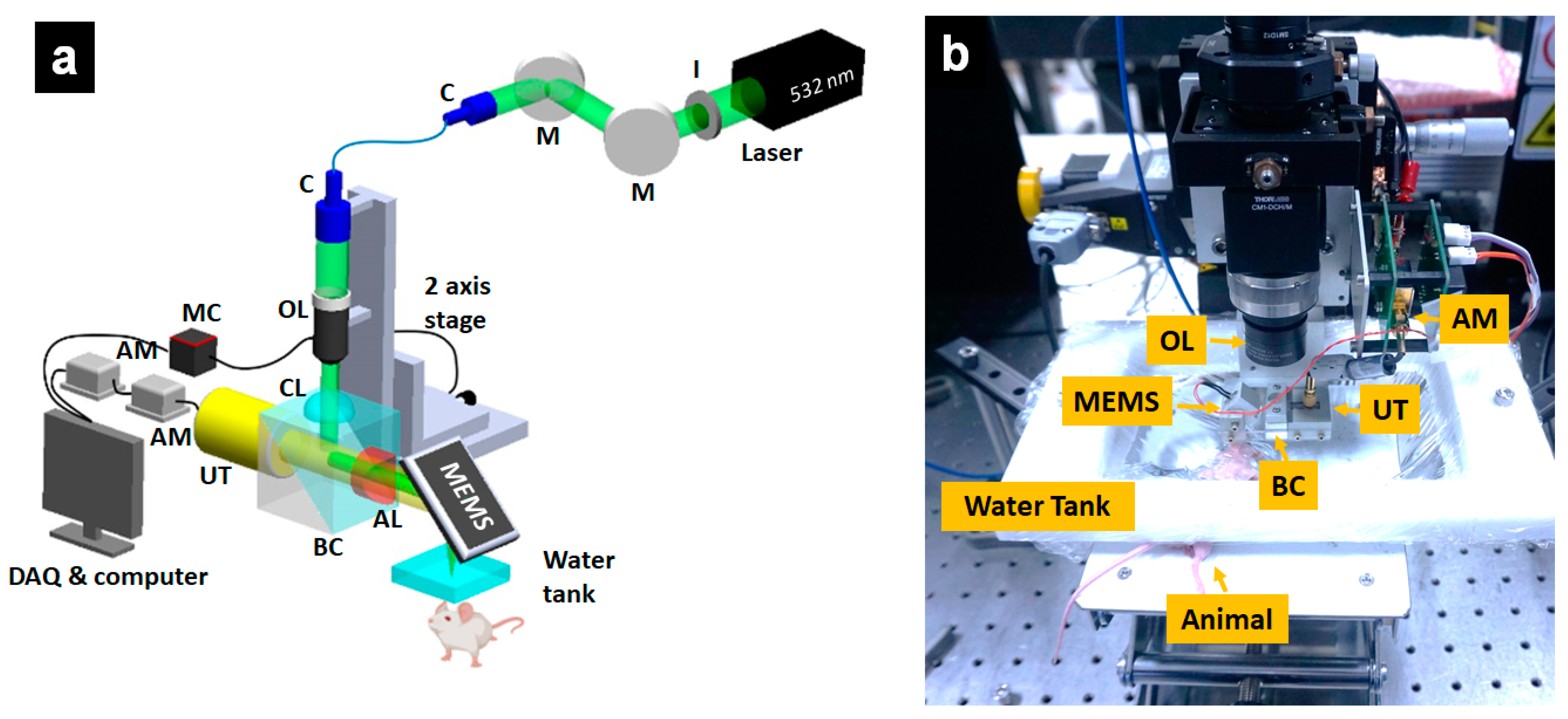 Sensors 21 00836 g001 Sensors 21 00836 g001