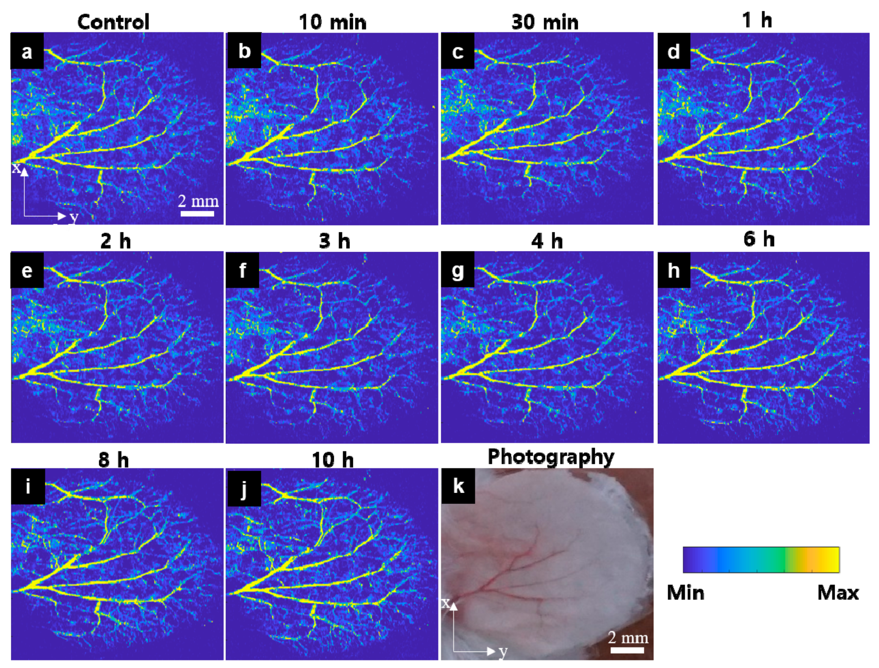 Sensors 21 00836 g004 Sensors 21 00836 g004