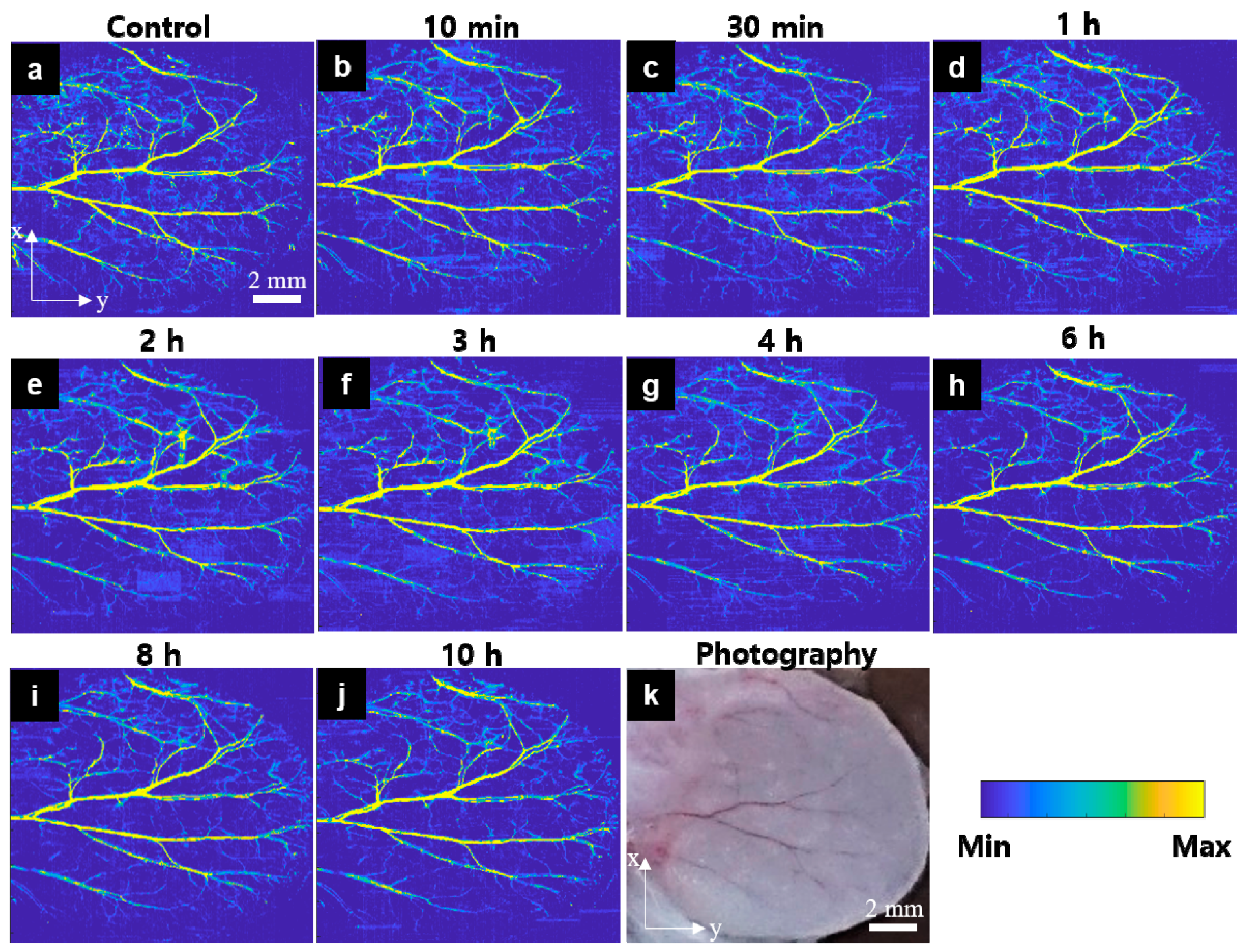 Sensors 21 00836 g005 Sensors 21 00836 g005