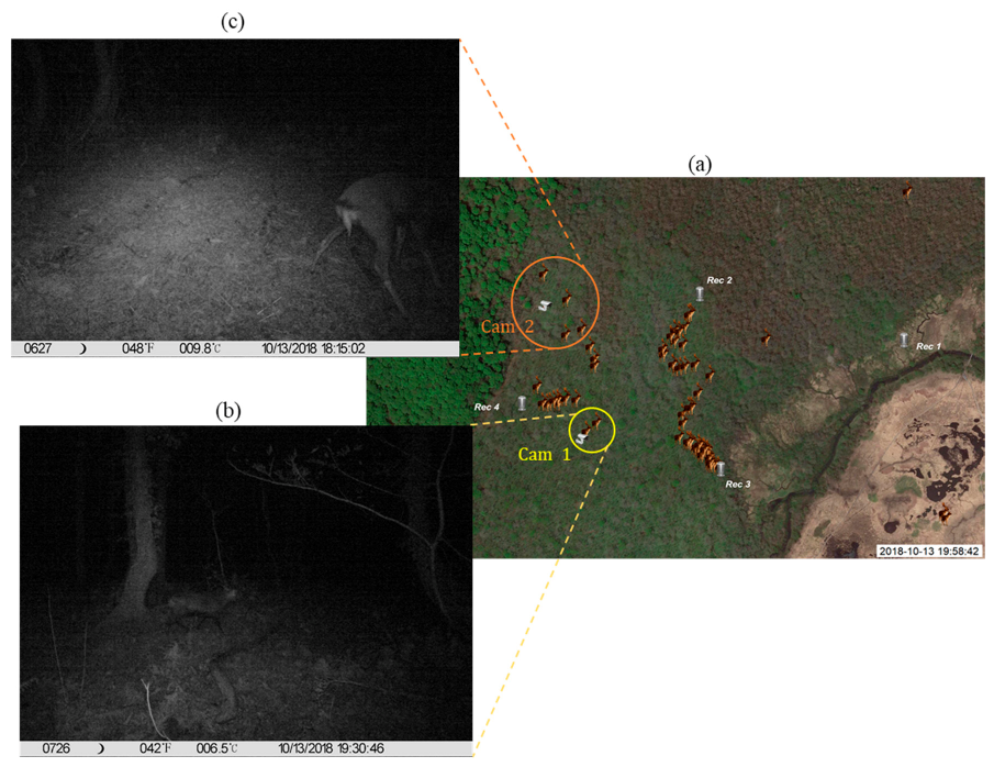 Sensors 21 00866 g010