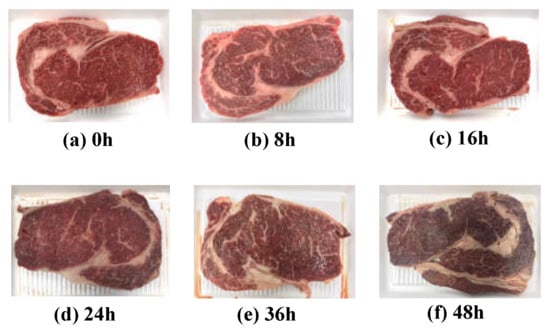 Sensors | Free Full-Text | Utilization of Electrical Impedance Spectroscopy  and Image Classification for Non-Invasive Early Assessment of Meat Freshness
