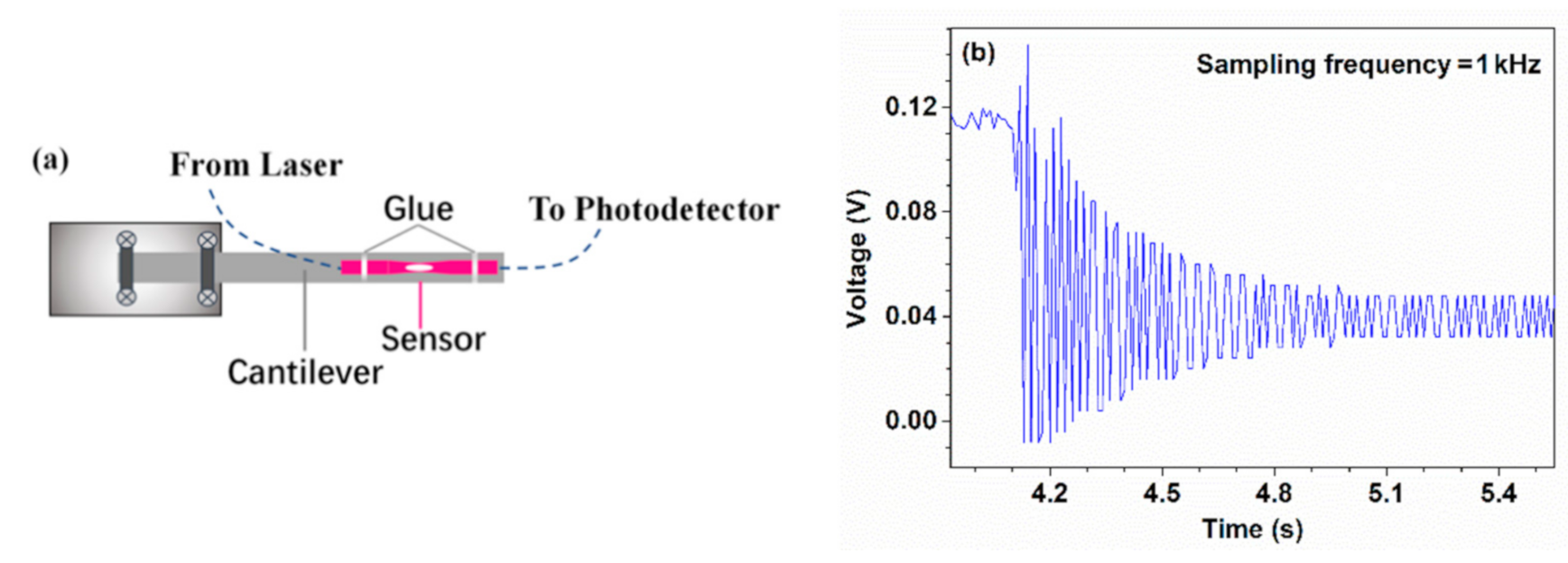 Sensors 21 01023 g009