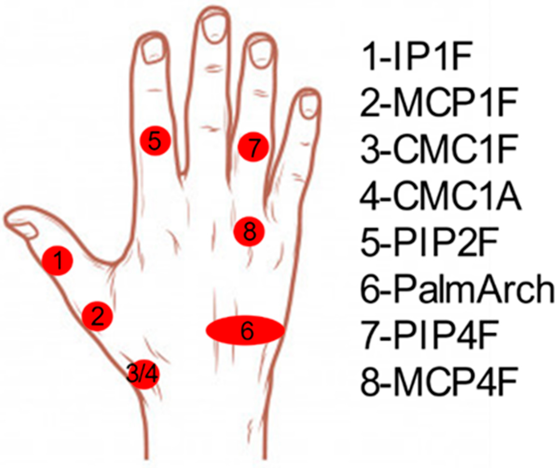 Sensors 21 01049 g011