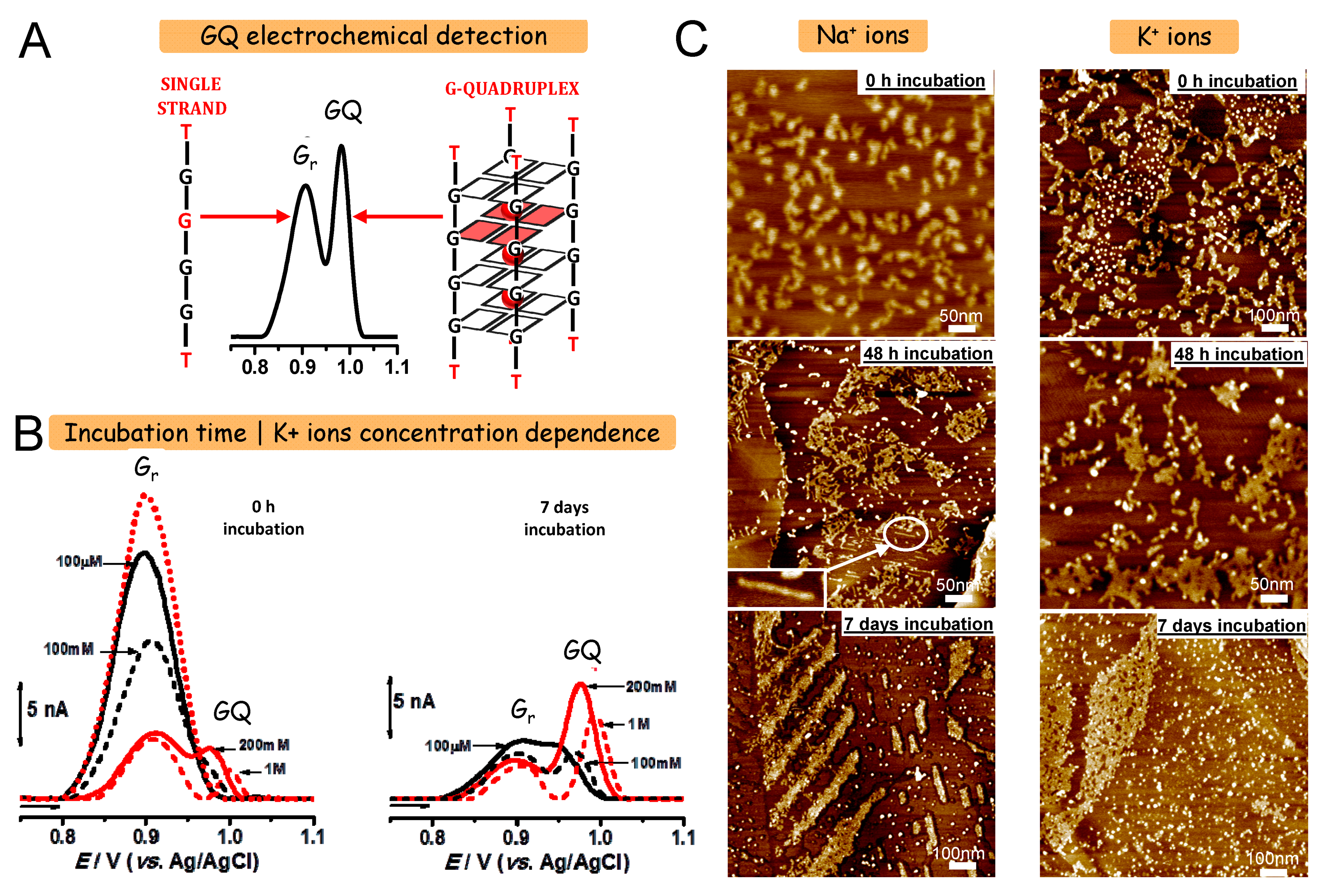 Sensors 21 01125 g002