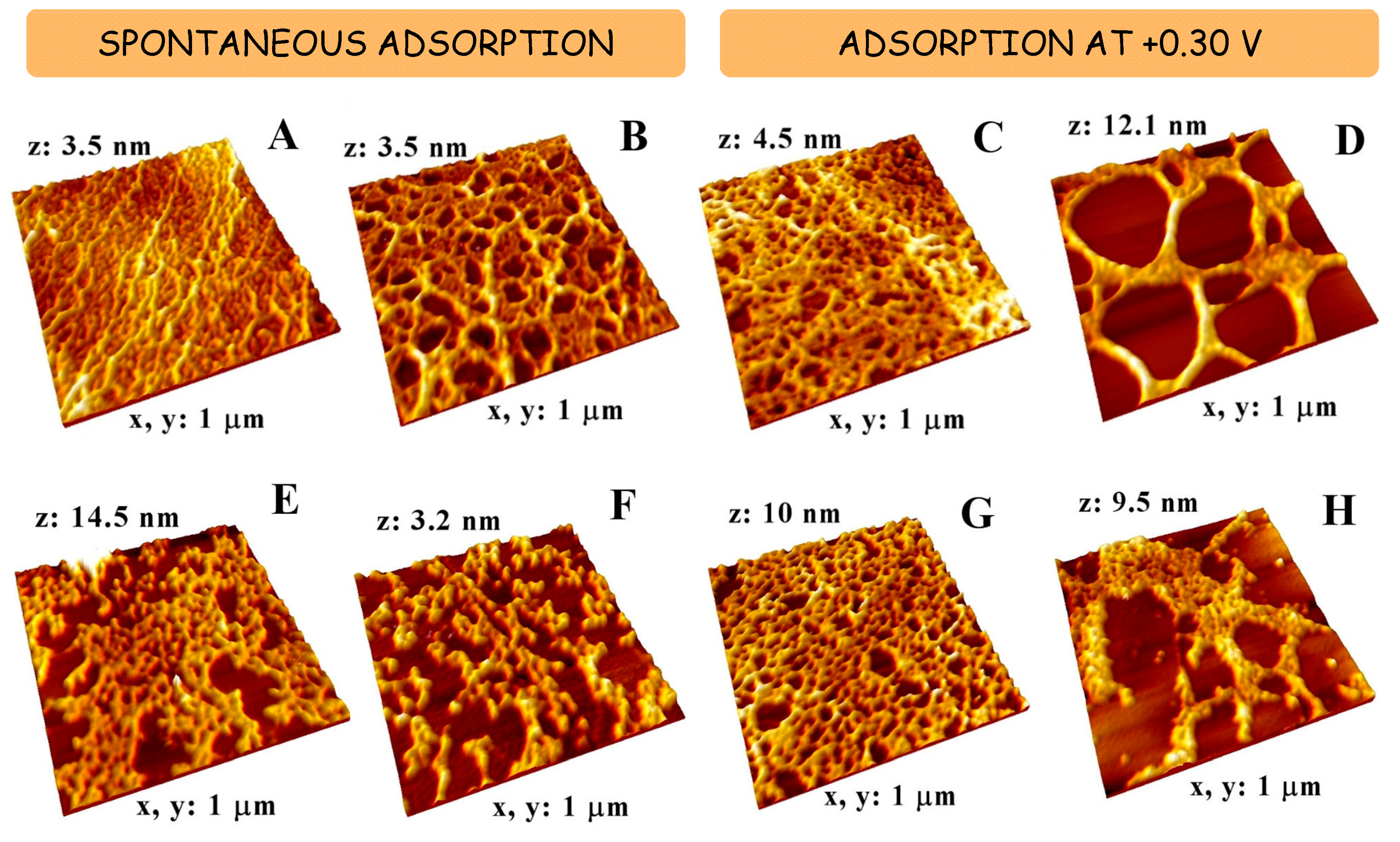 Sensors 21 01125 g003