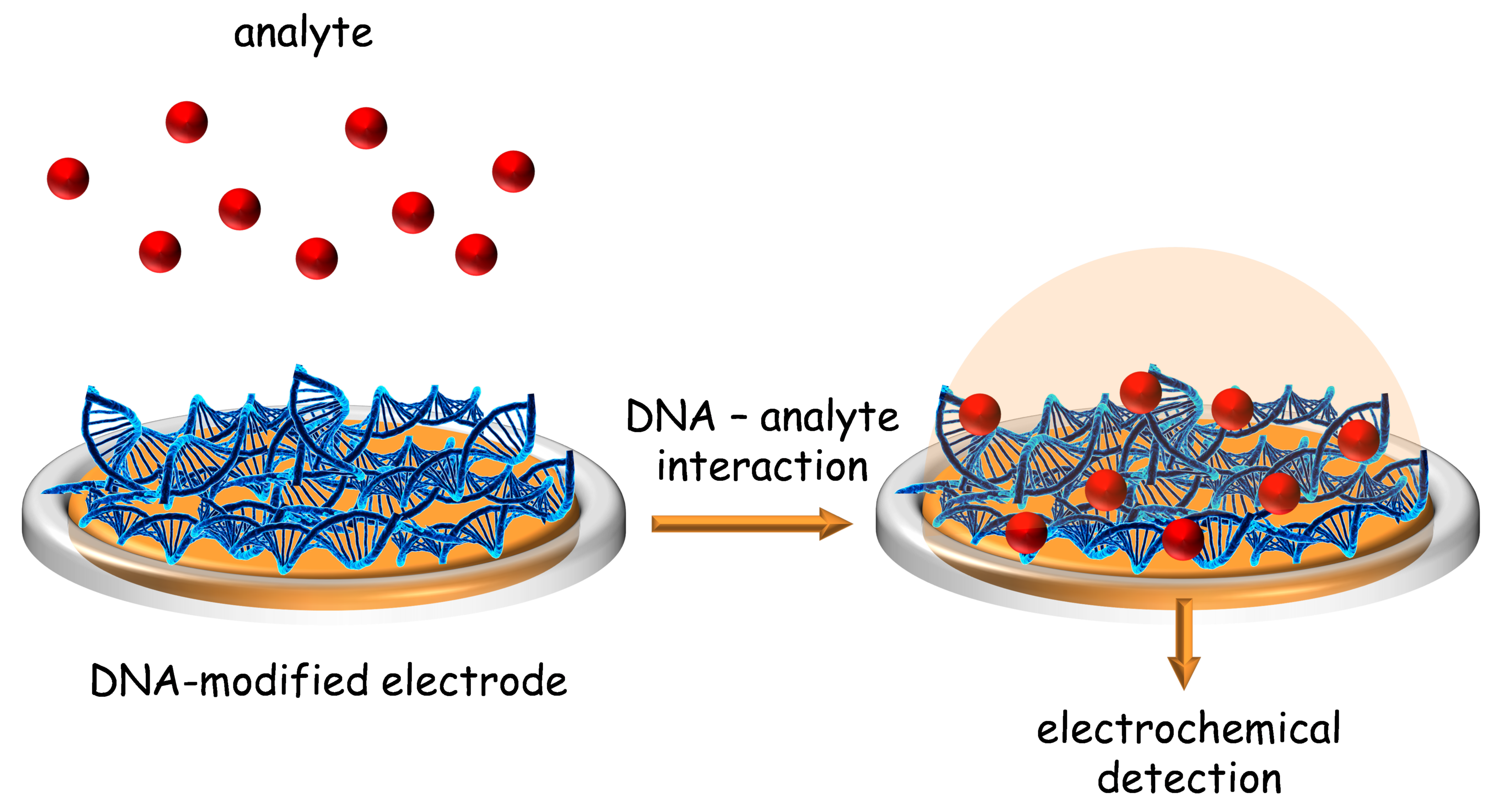 Sensors 21 01125 sch002
