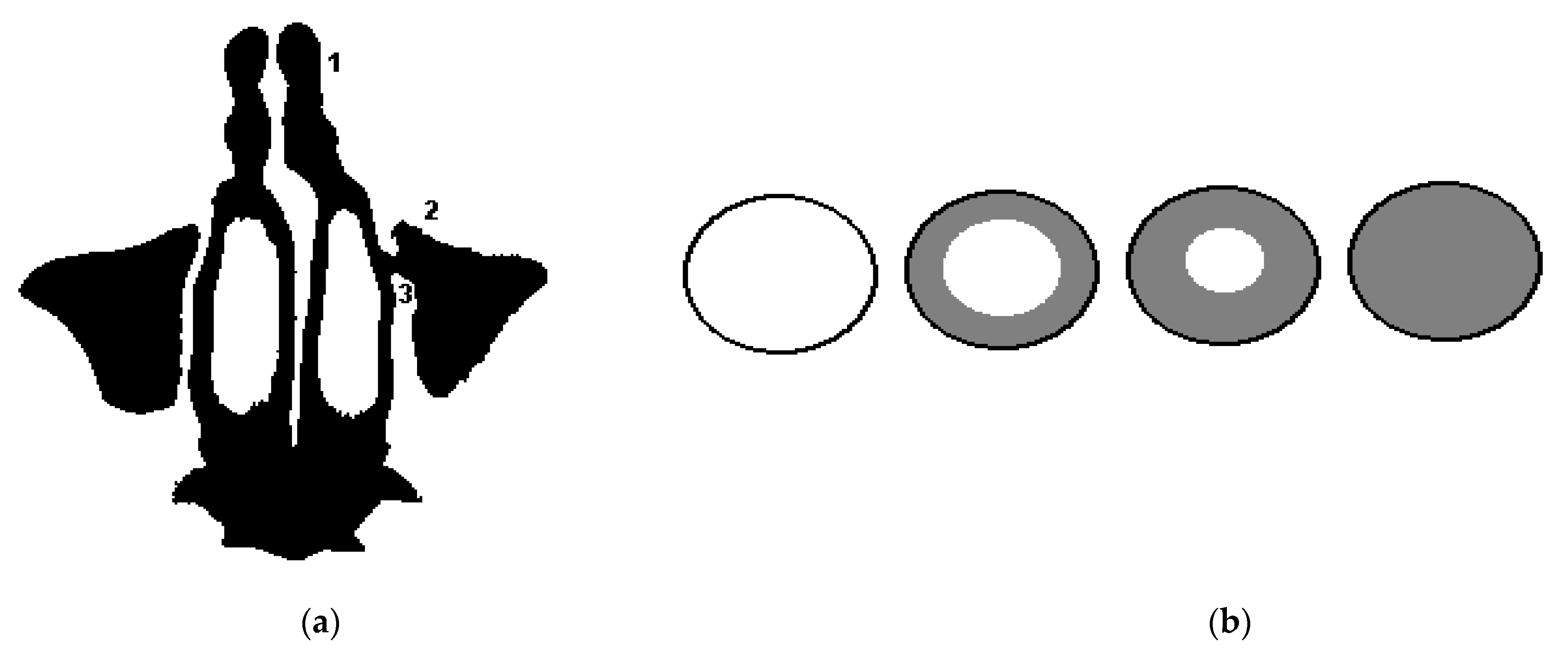 Sensors 21 01198 g003 Sensors 21 01198 g003