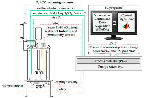 Sensors | Free Full-Text | Application of In-Situ and Soft-Sensors for  Estimation of Recombinant P. pastoris GS115 Biomass Concentration: A Case  Analysis of HBcAg (Mut+) and HBsAg (MutS) Production Processes under Varying