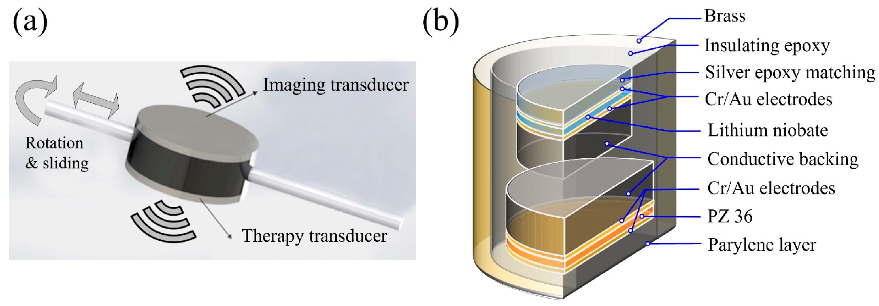 Sensors | Free Full-Text | Thermal Ablation and High-Resolution Imaging  Using a Back-to-Back (BTB) Dual-Mode Ultrasonic Transducer: In Vivo Results