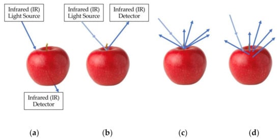 Monitoring of fruit freshness using phase information in polarization  reflectance spectroscopy