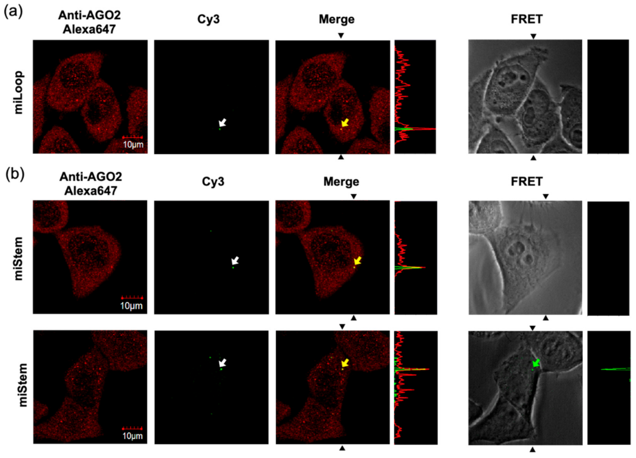 Sensors 21 01785 g006