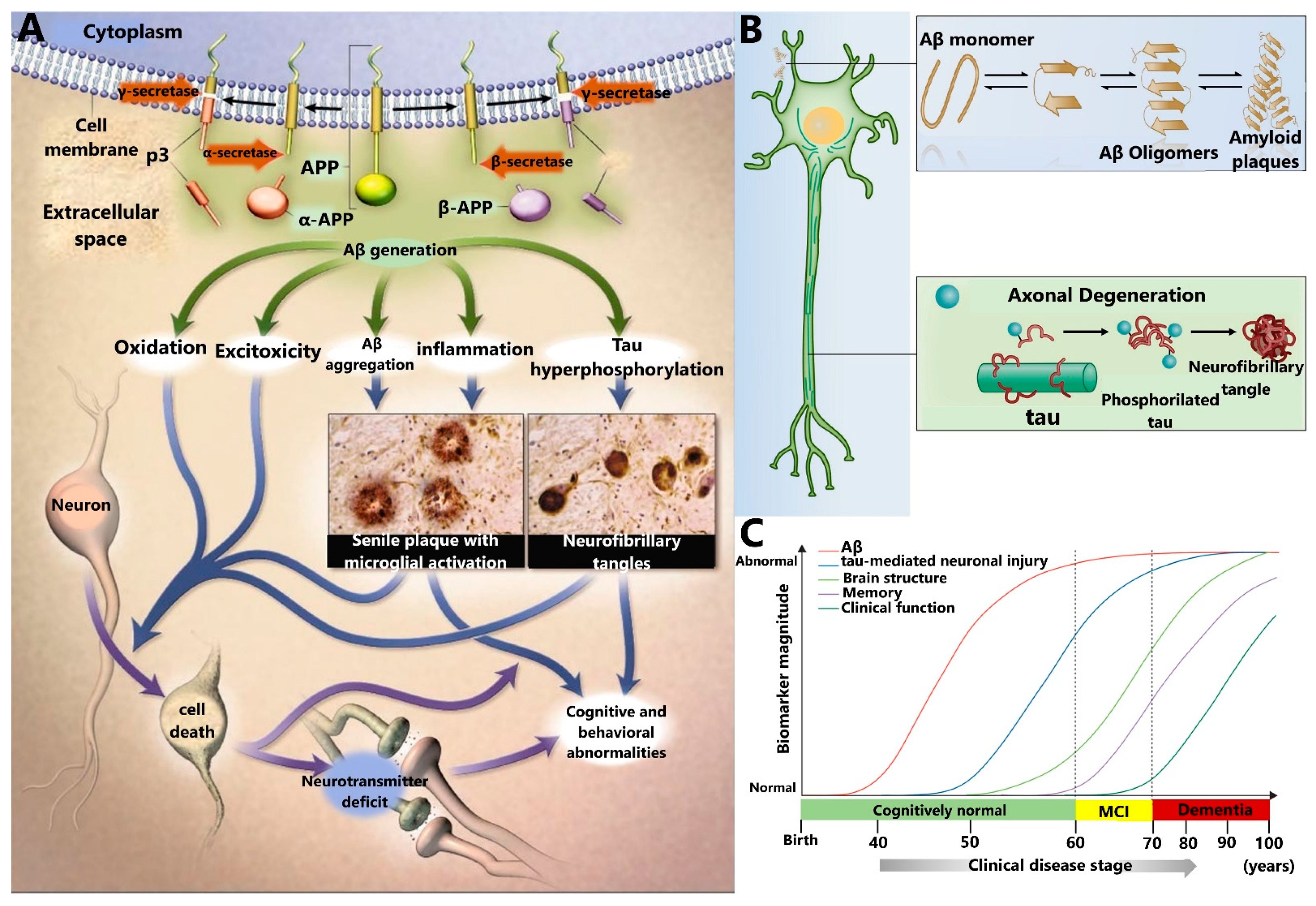 Sensors 21 02067 g002