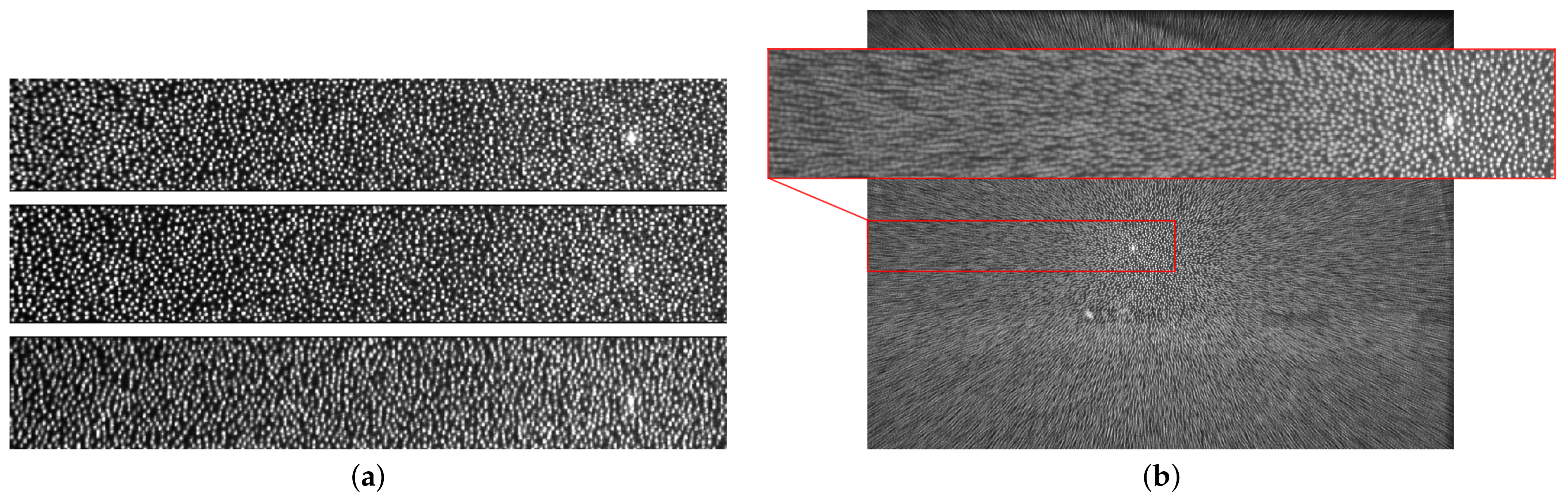 Sensors 21 02073 g002 Sensors 21 02073 g002