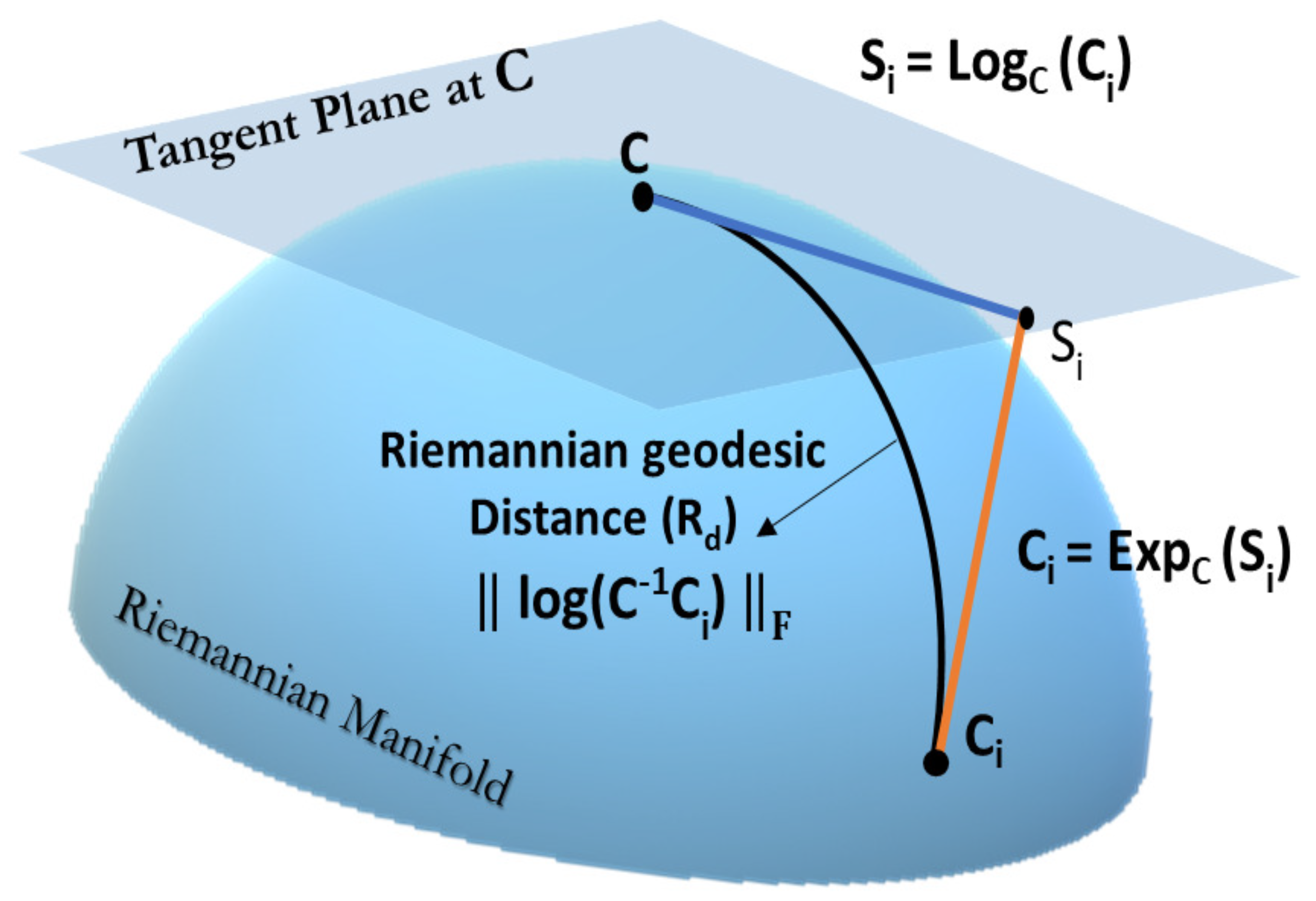 Sensors 21 02173 g005