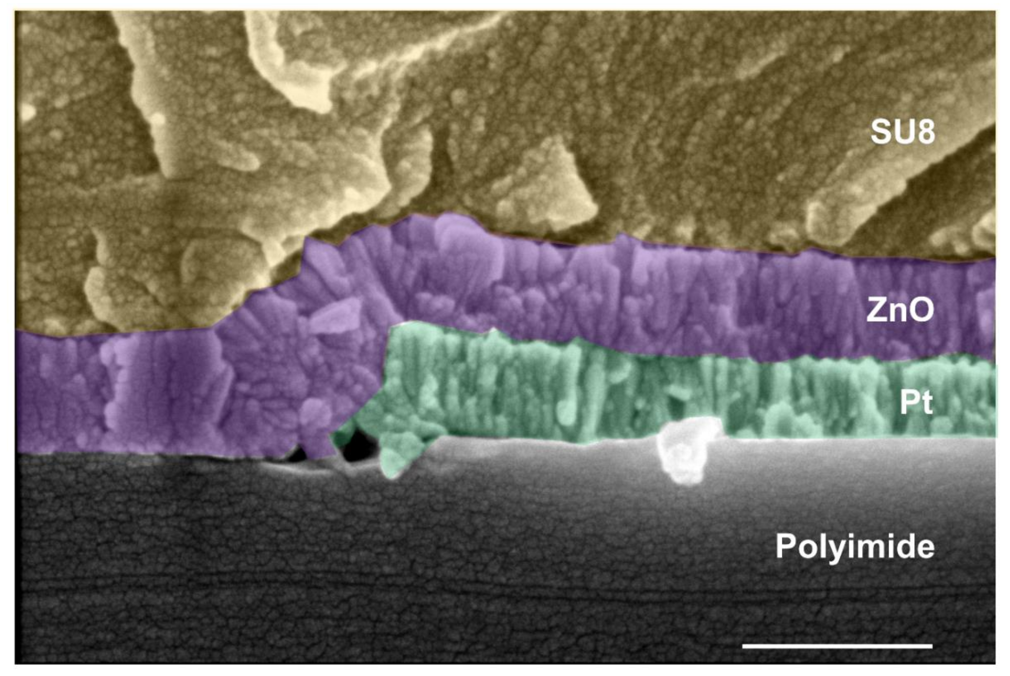 Sensors 21 02253 g008