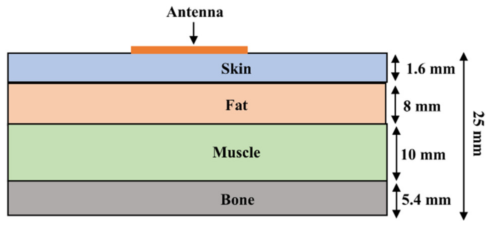 Sensors 21 02516 g012