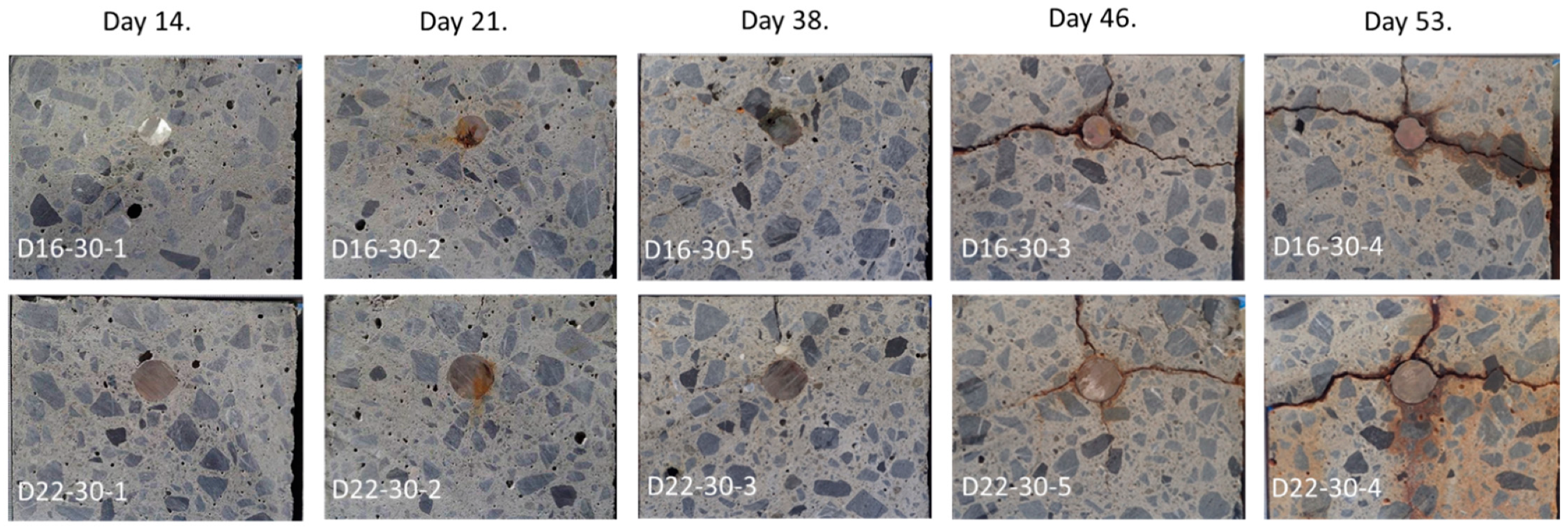 Sensors 21 02546 g010
