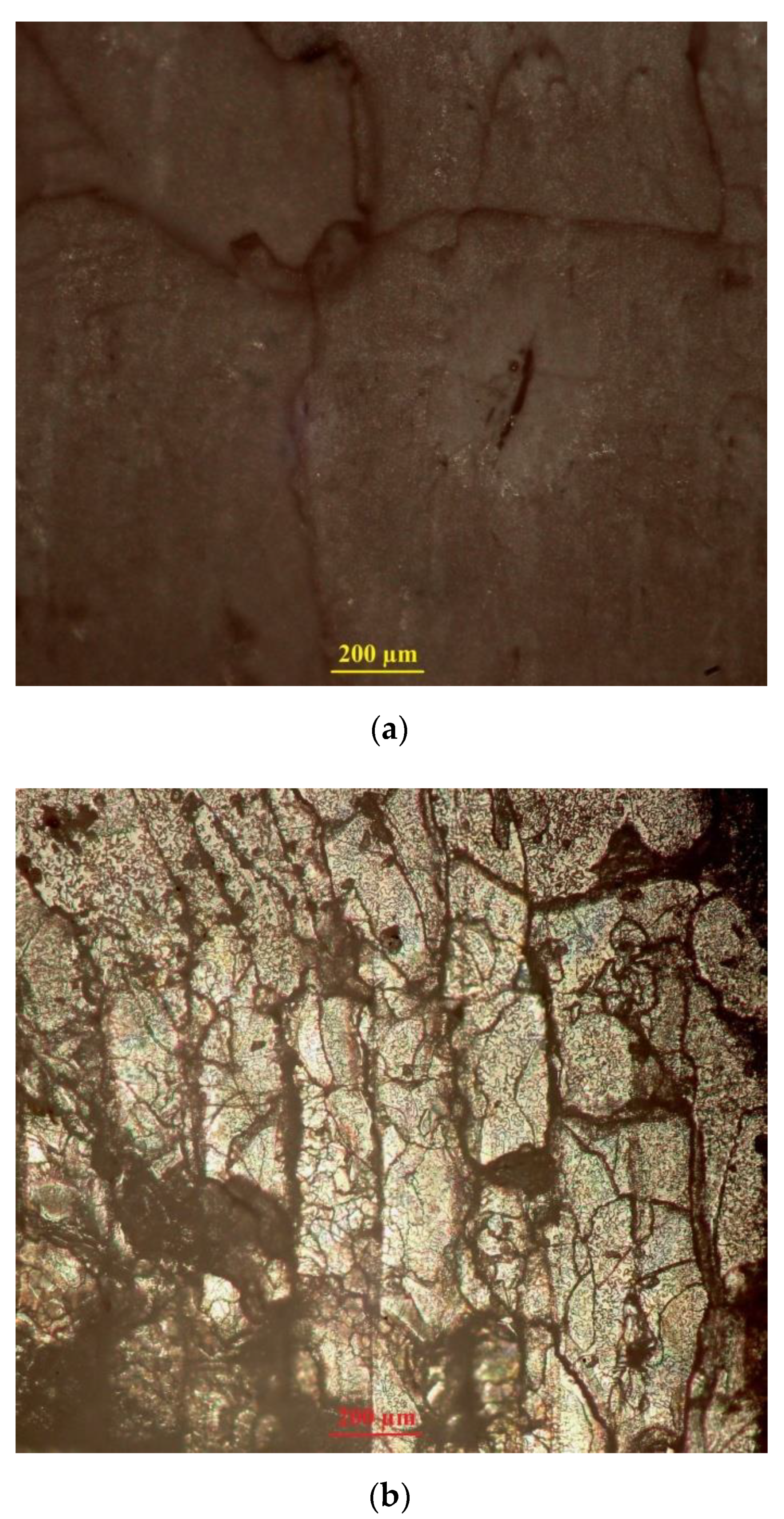 Sensors 21 02561 g015