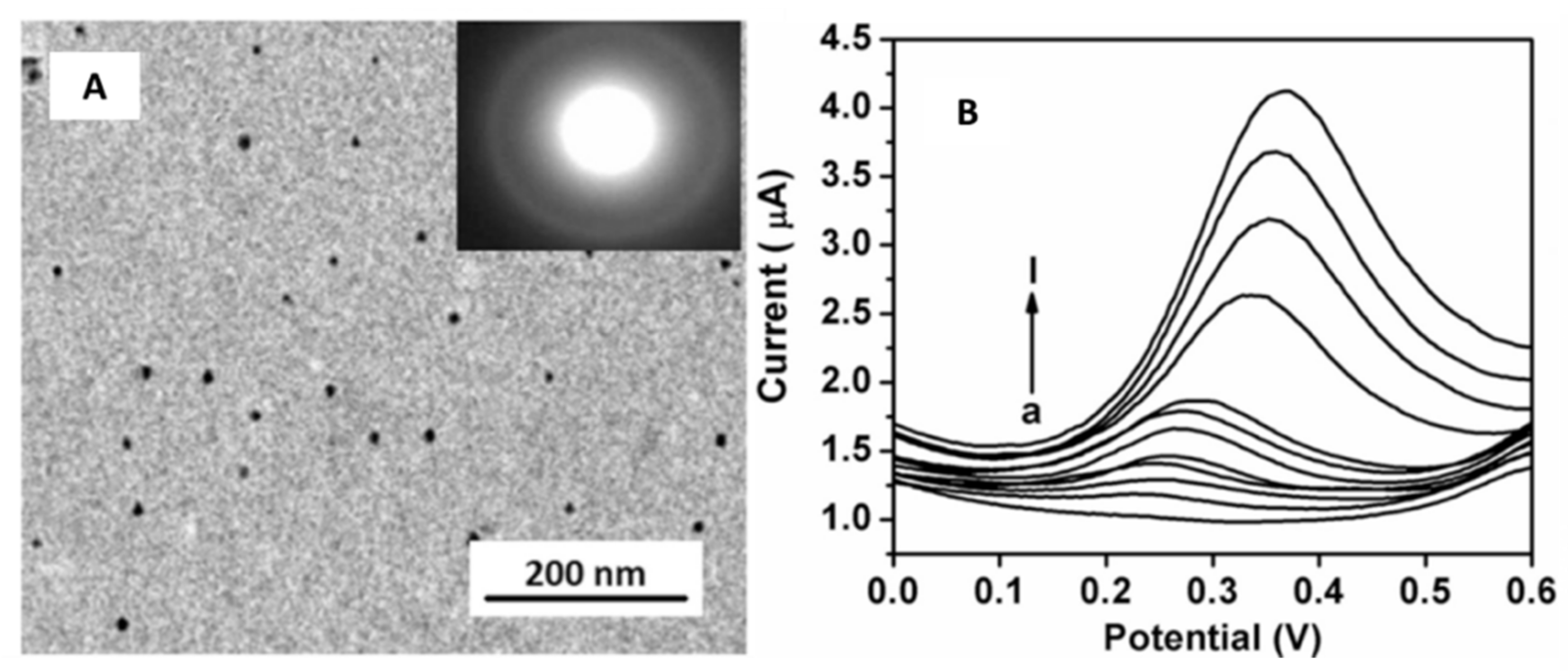 Sensors 21 02596 g002 Sensors 21 02596 g002