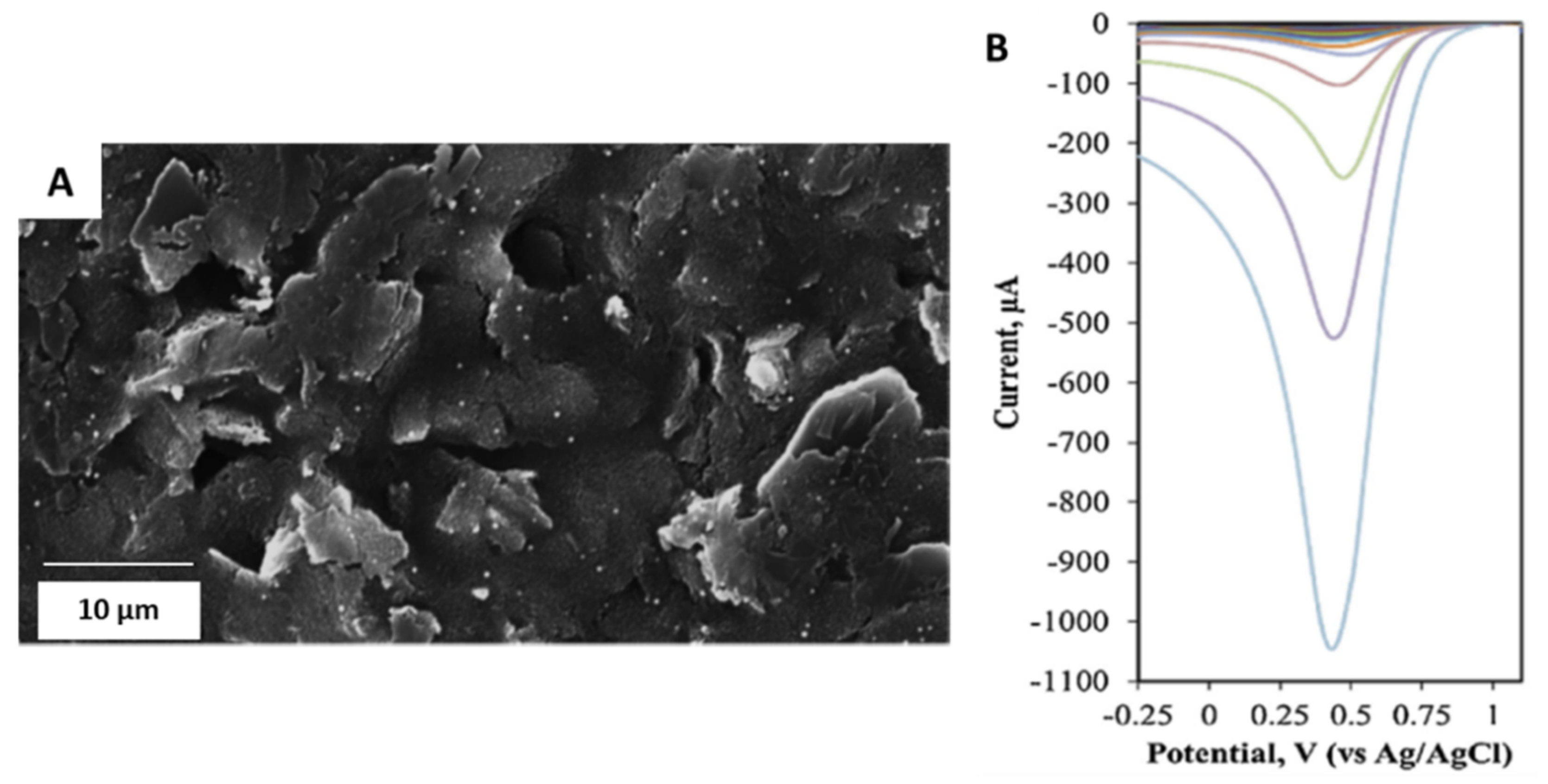 Sensors 21 02596 g003 Sensors 21 02596 g003
