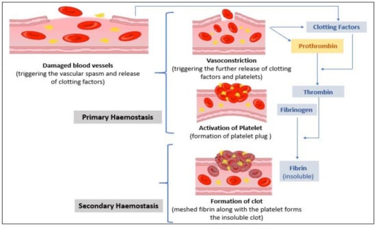 Sensors | Free Full-Text | Evolving Paradigm of Prothrombin Time ...