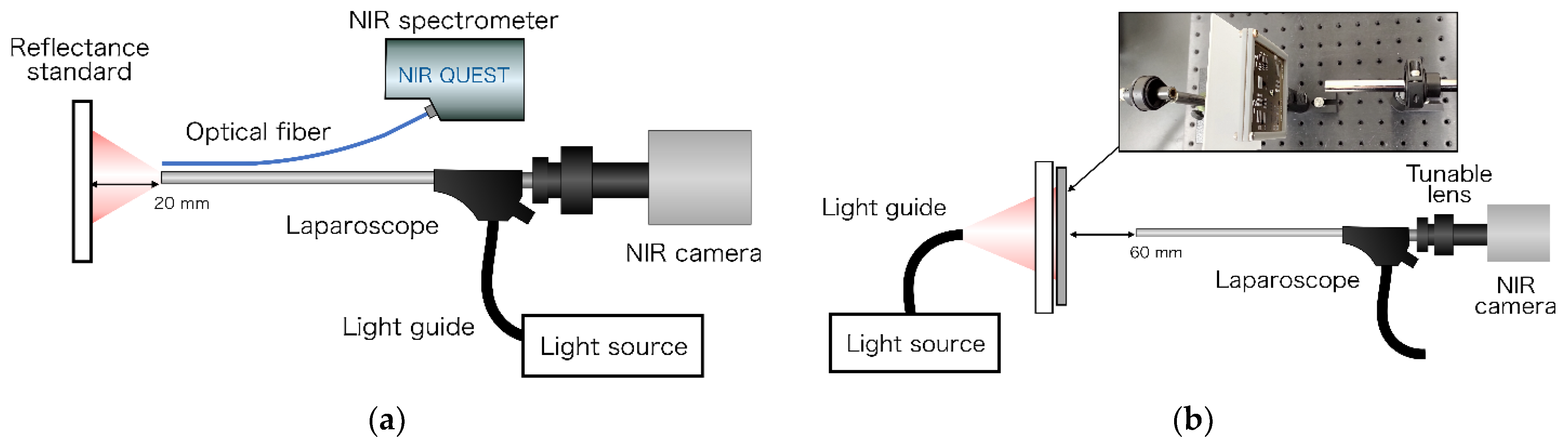 Sensors 21 02649 g003 Sensors 21 02649 g003