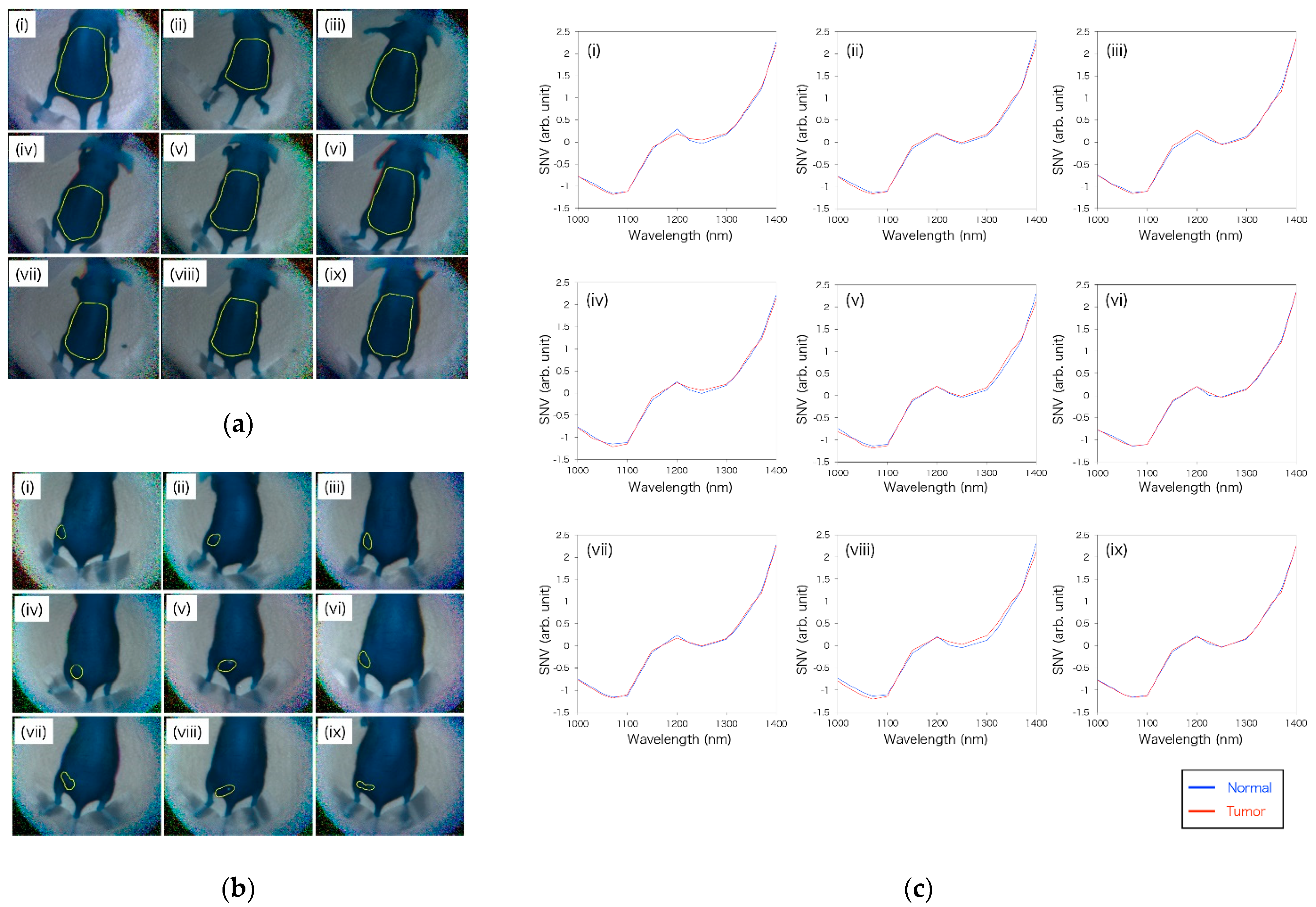 Sensors 21 02649 g008 Sensors 21 02649 g008