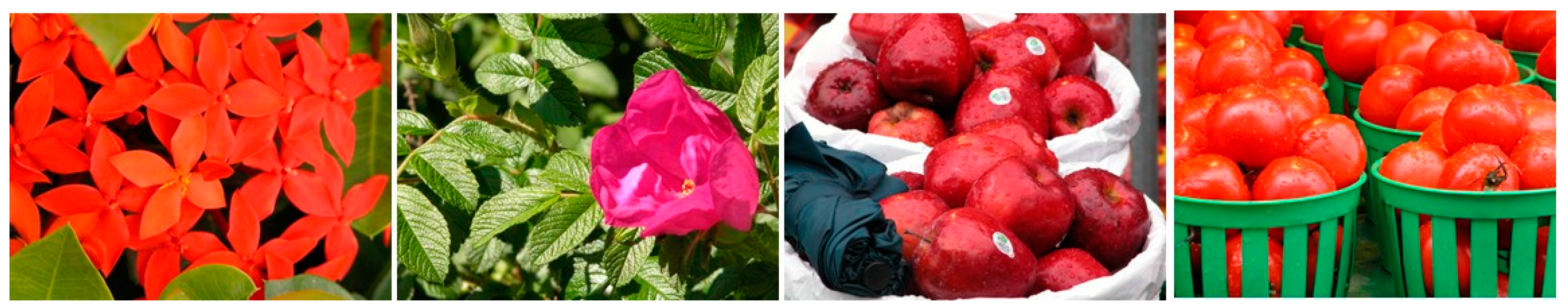 Sensors 21 02740 g004 Sensors 21 02740 g004