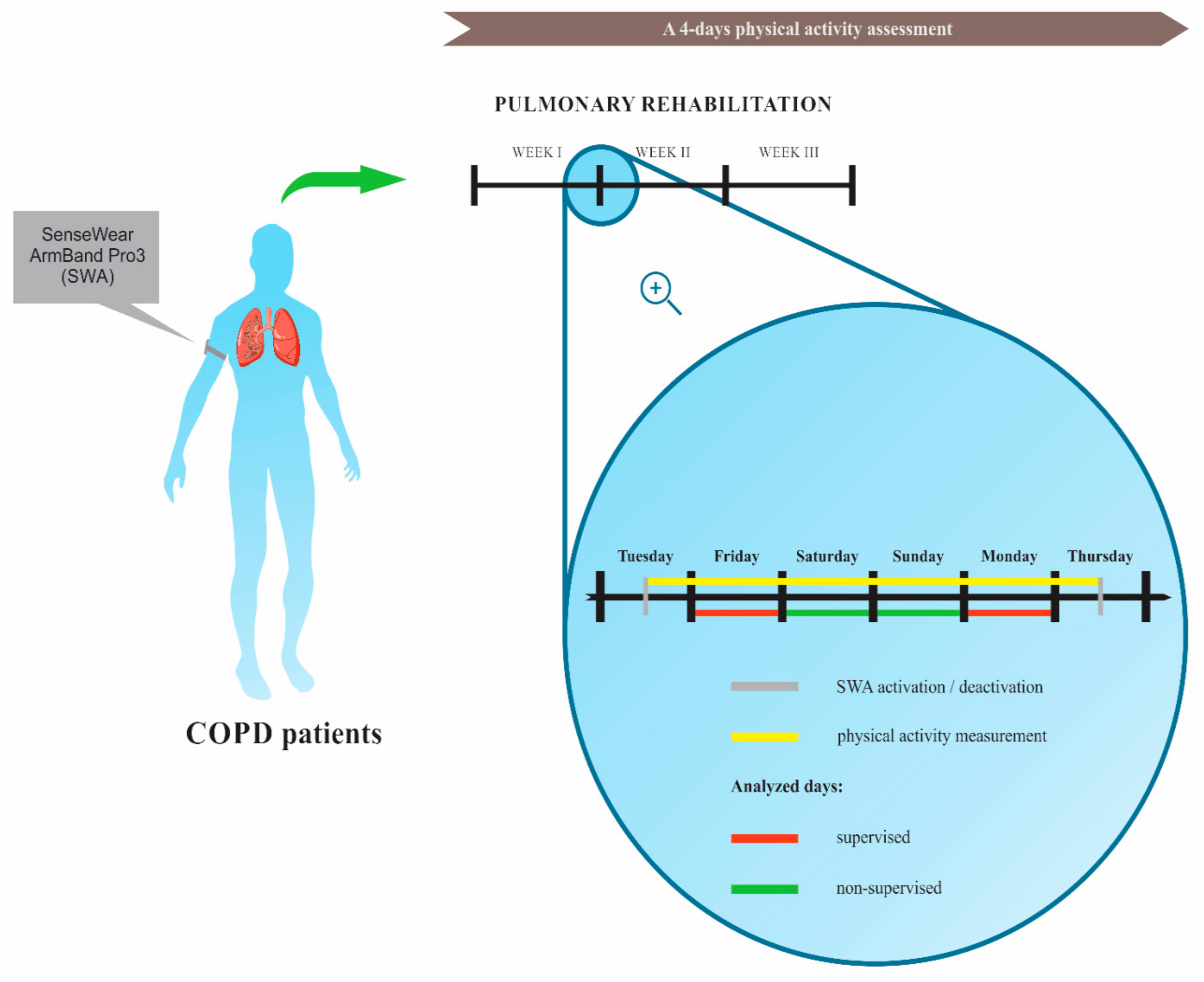 Sensors | Free Full-Text | Monitoring Physical Activity with a Wearable  Sensor in Patients with COPD during In-Hospital Pulmonary Rehabilitation  Program: A Pilot Study | HTML
