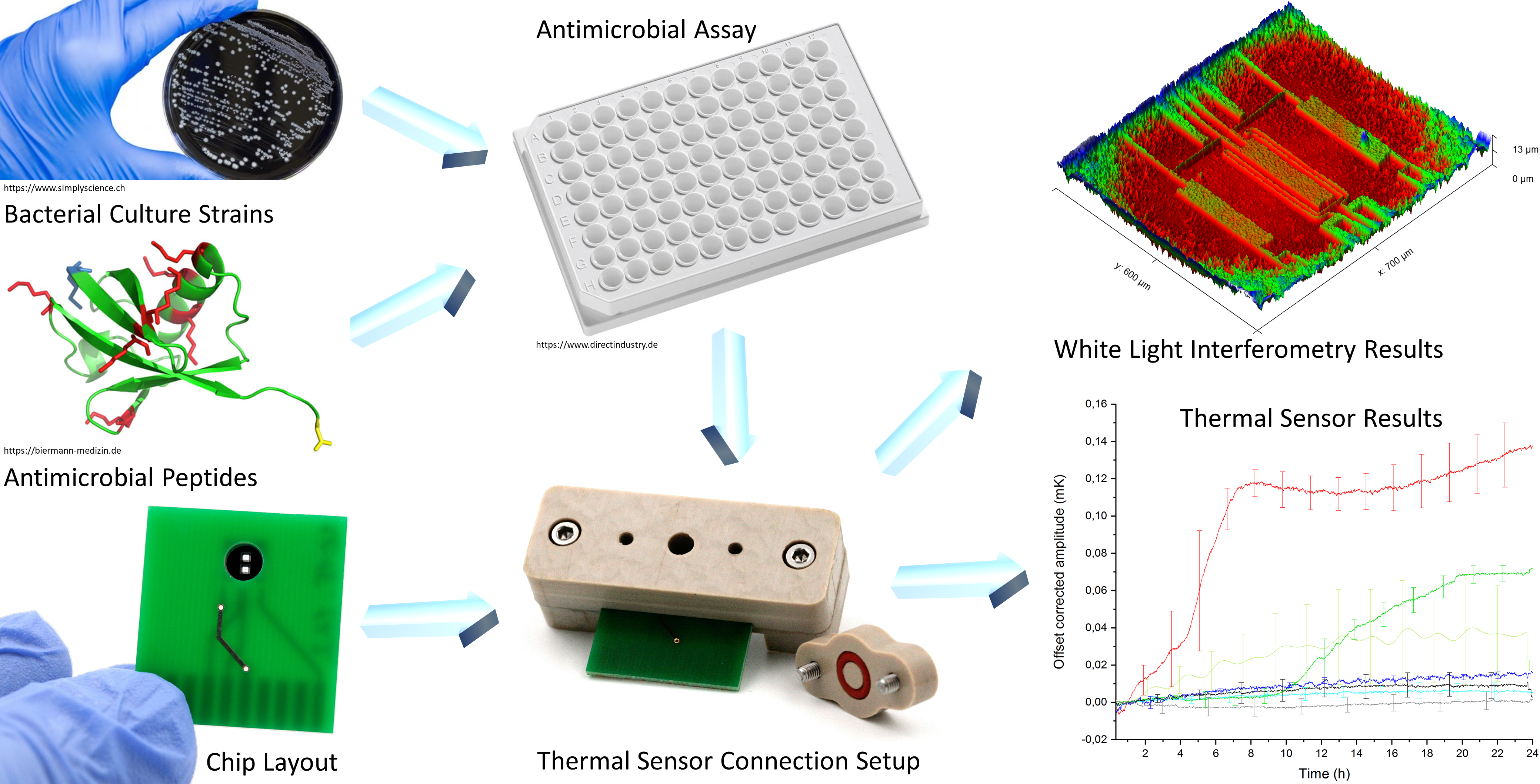 Sensors | Free Full-Text | A Real-Time Thermal Sensor System for  Quantifying the Inhibitory Effect of Antimicrobial Peptides on Bacterial  Adhesion and Biofilm Formation | HTML