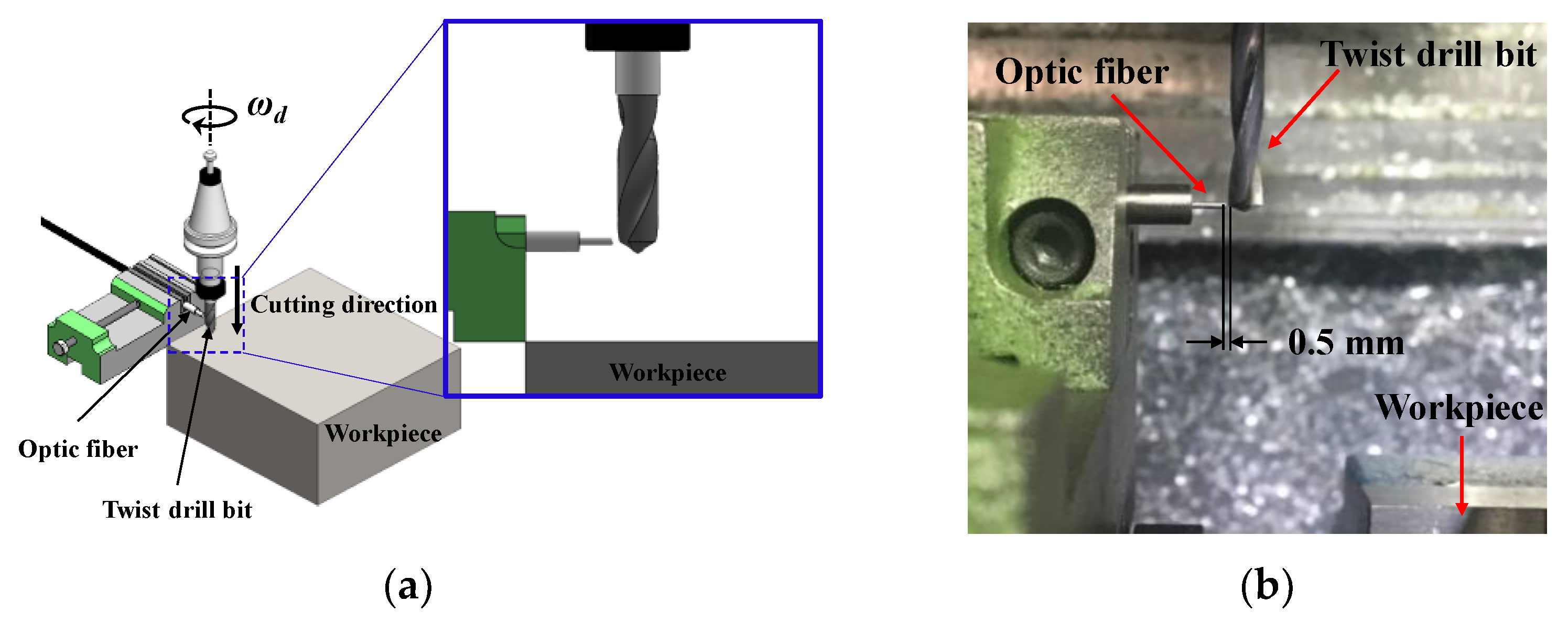 Sensors 21 02808 g003