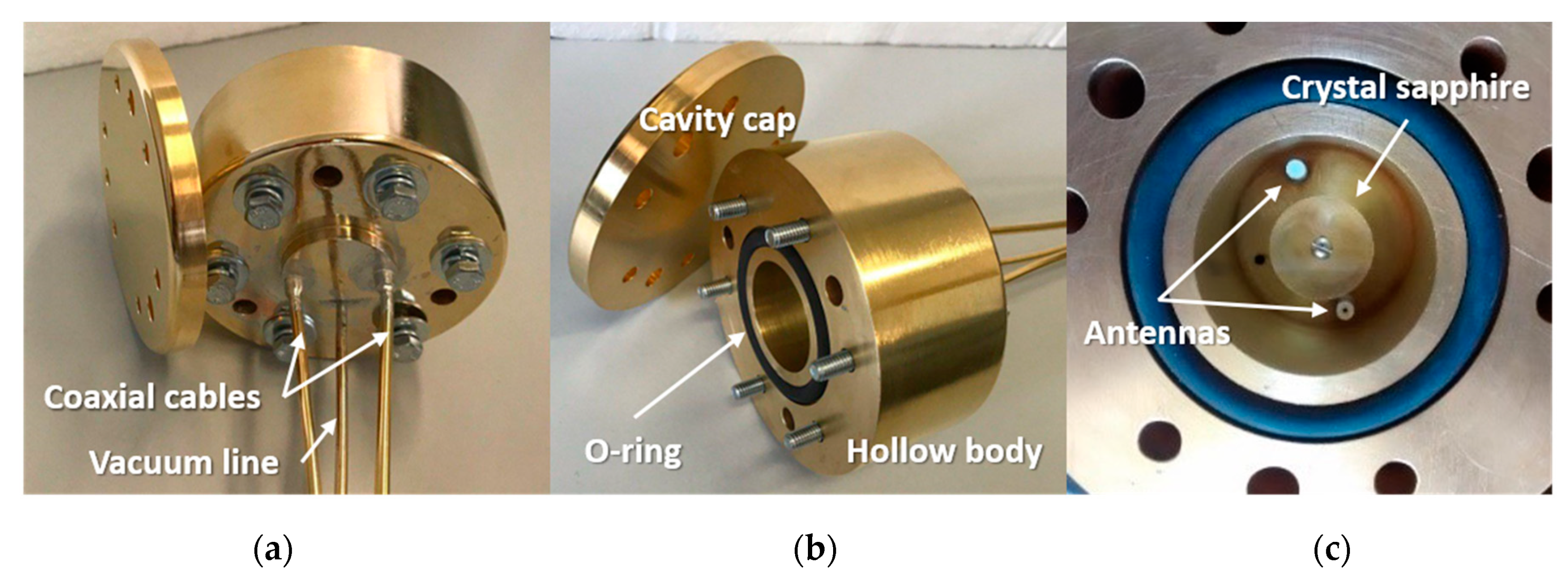 Sensors 21 02844 g001