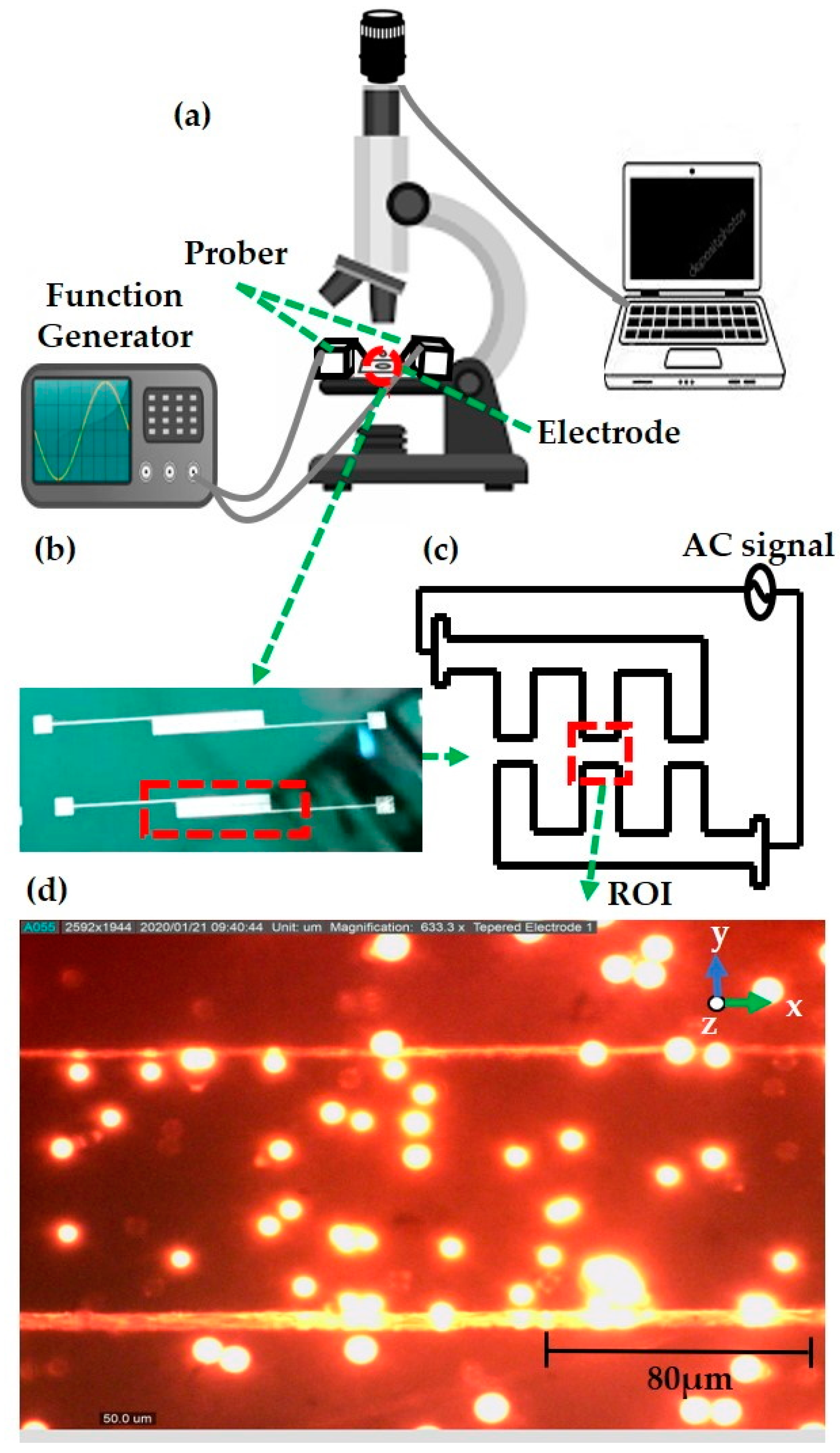 Sensors 21 03007 g004