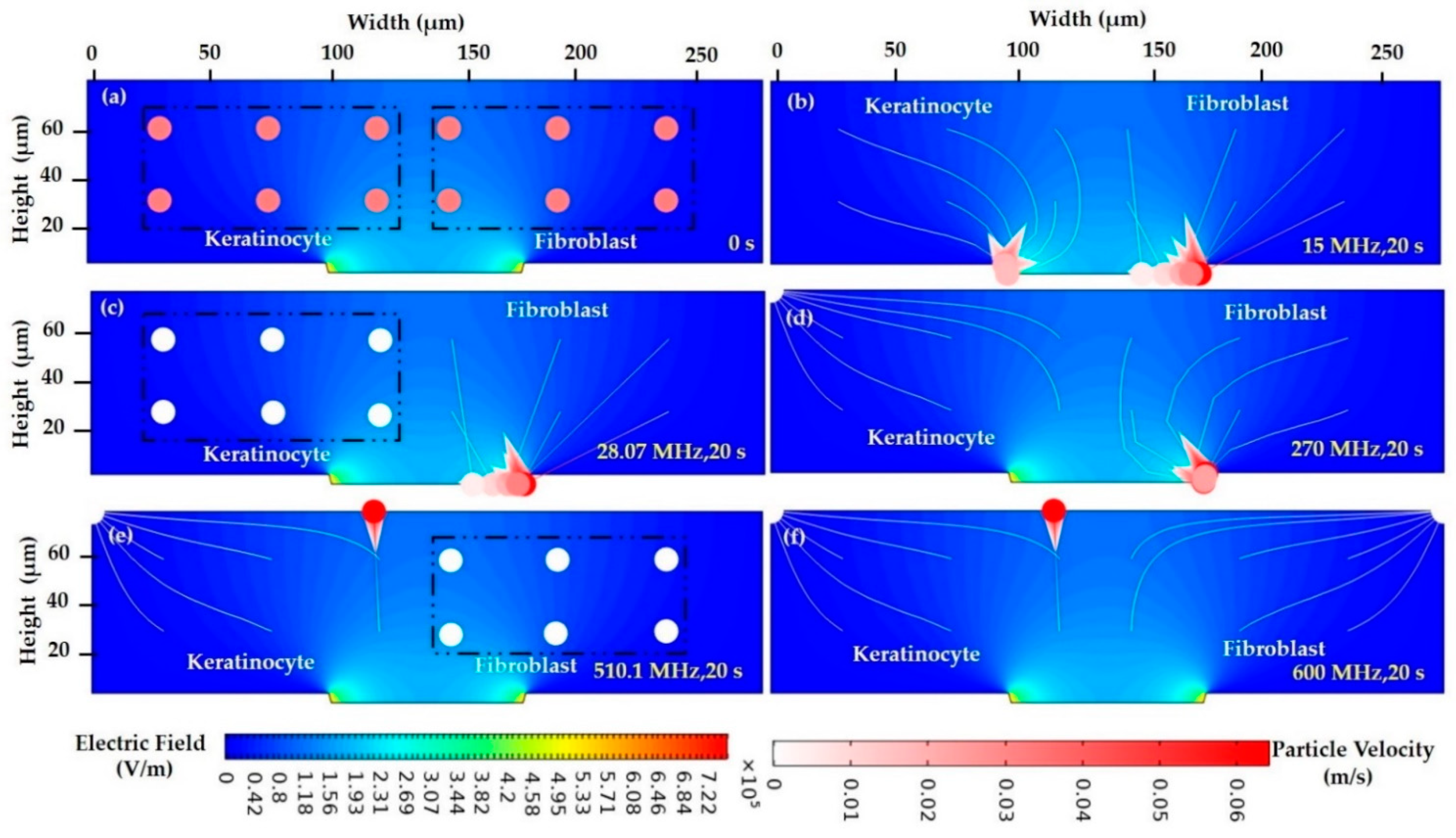 Sensors 21 03007 g011