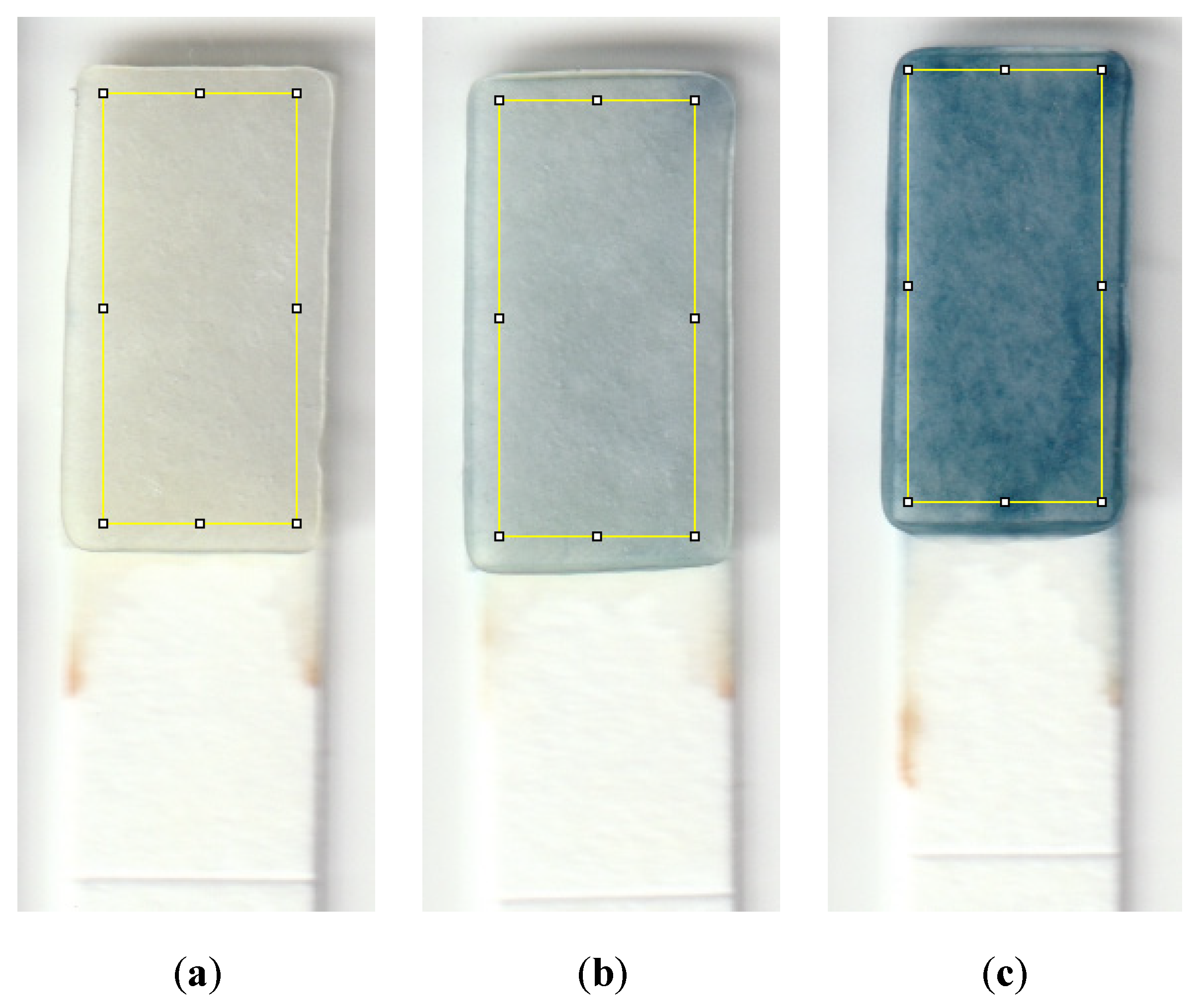 Sensors 21 03125 g003