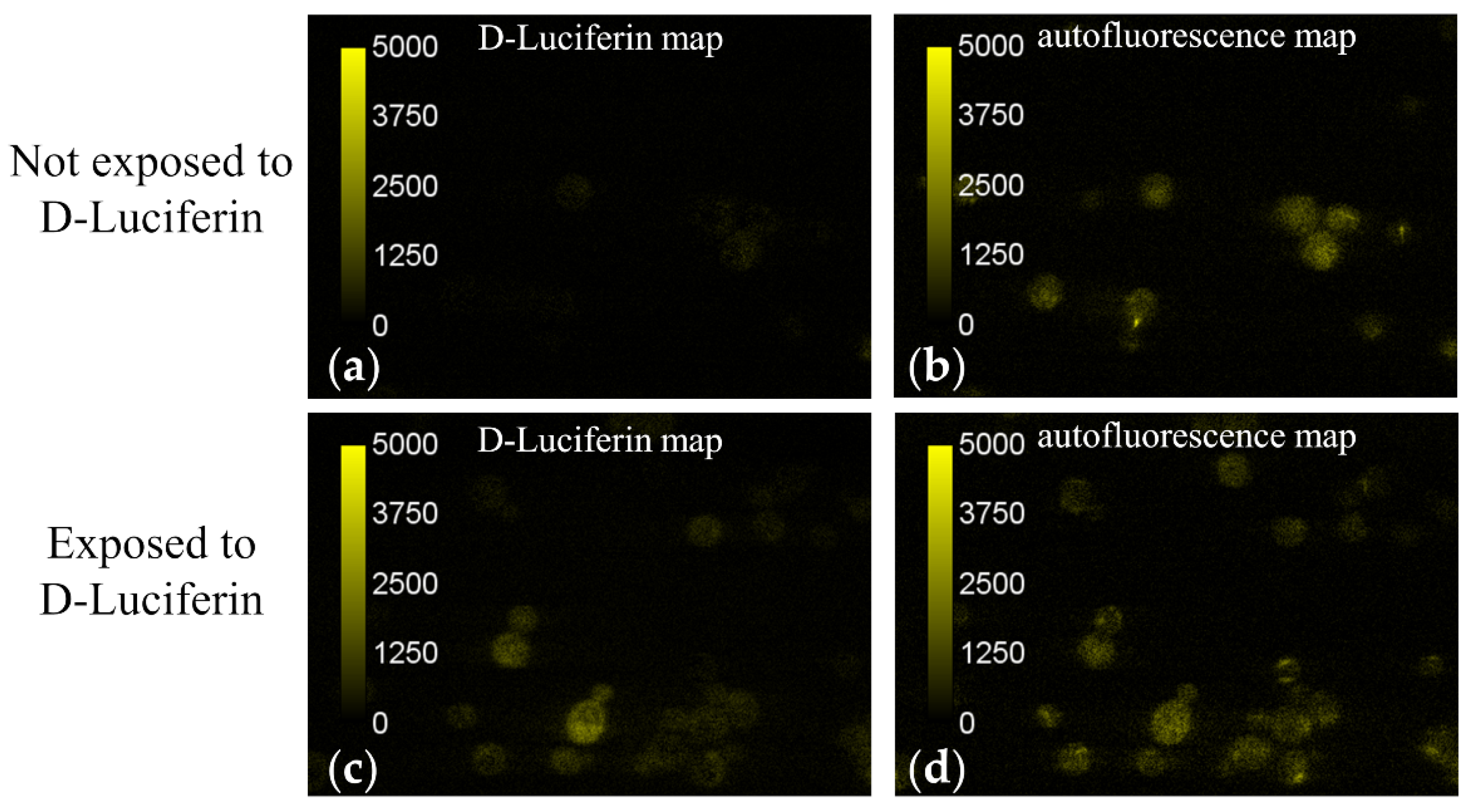 Sensors 21 03177 g005 Sensors 21 03177 g005