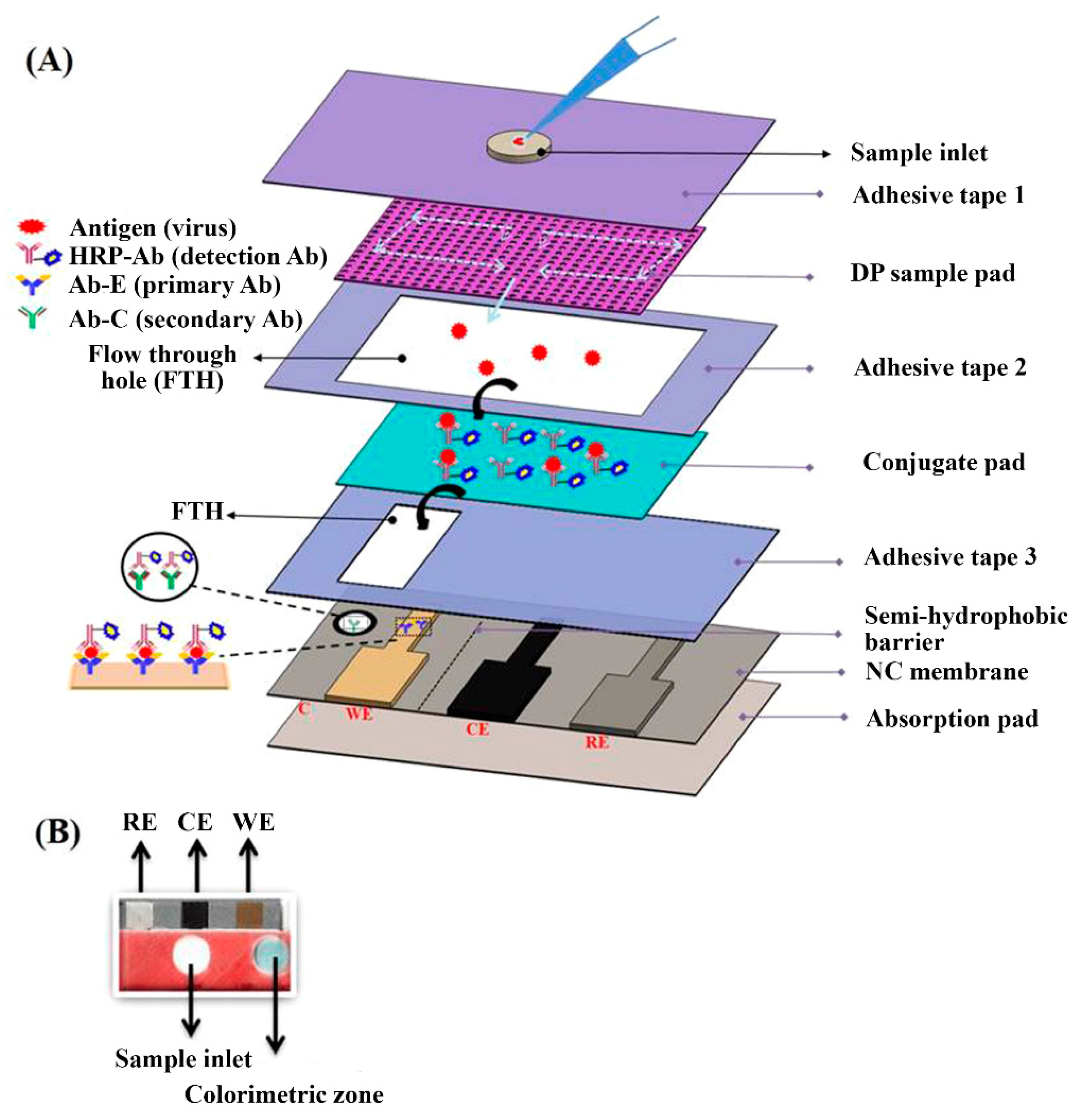 Sensors Free Full Text Recent Advancements In Enzyme Based Lateral