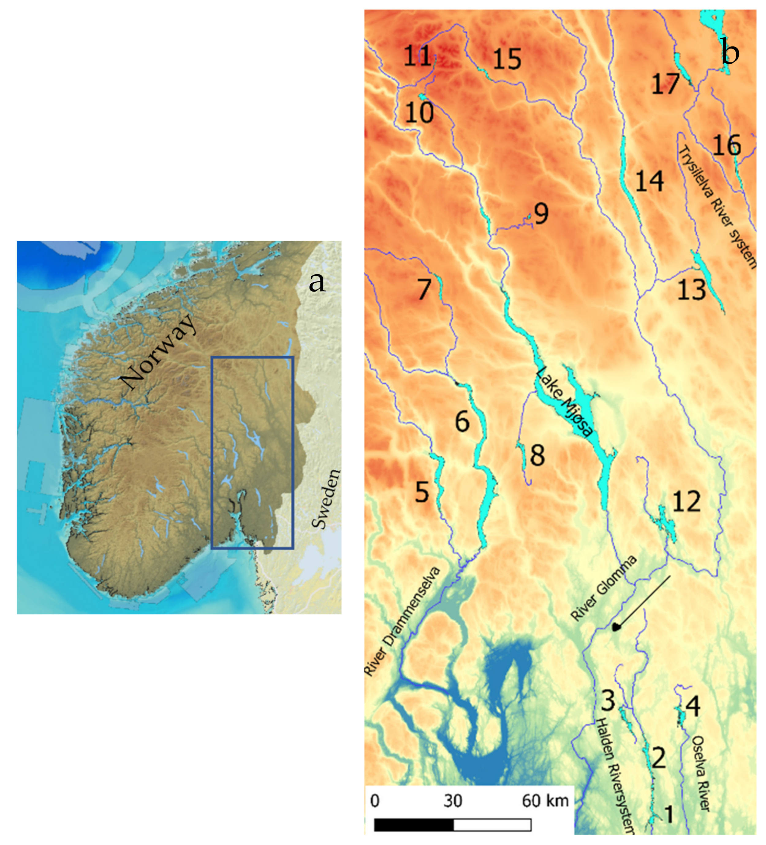 Sensors | Free Full-Text | Effects of Lake Productivity on Density and Size  Structure of Pelagic Fish Estimated by Means of Echosounding in 17 Lakes in  Southeast Norway