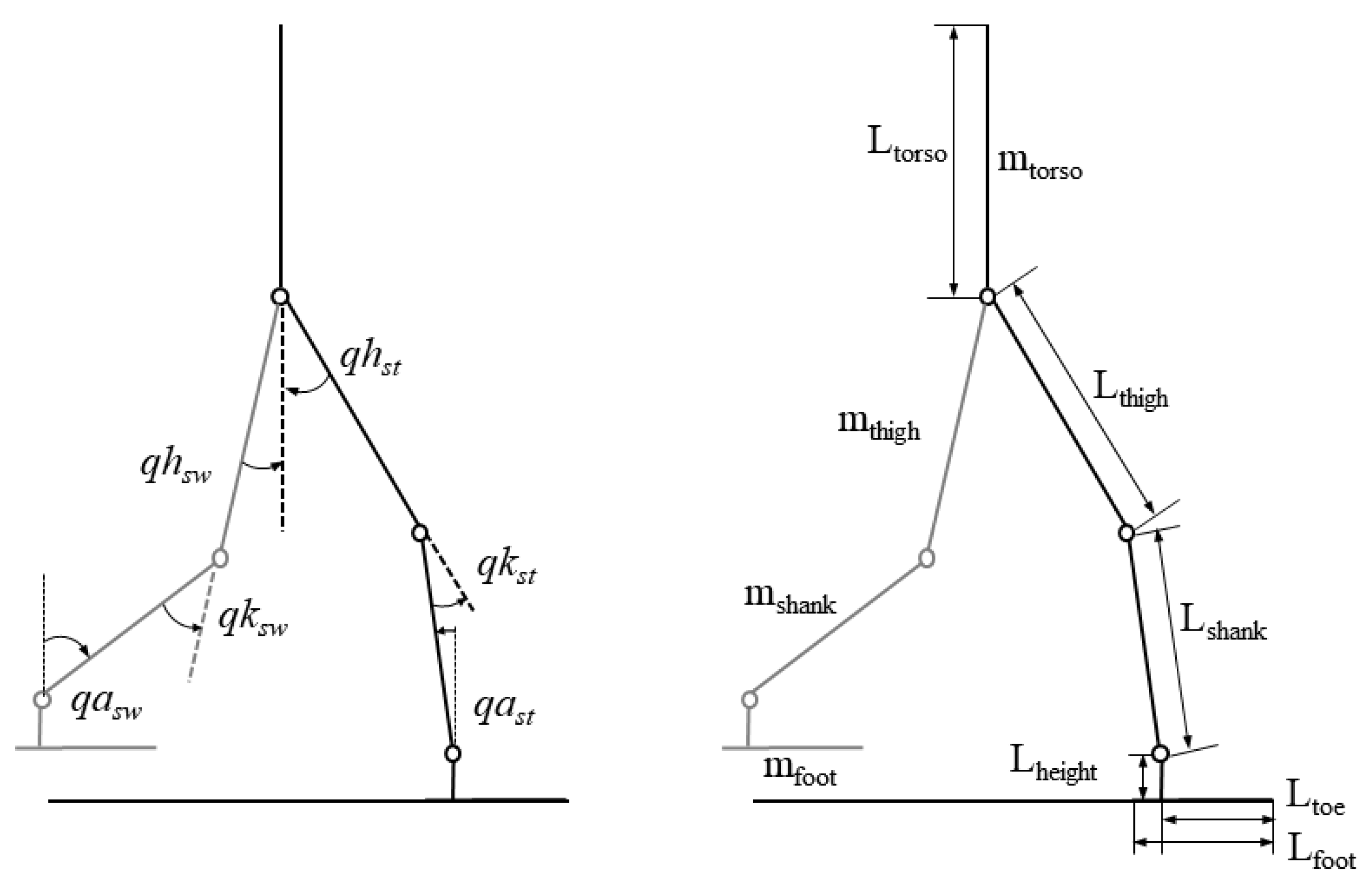 Sensors | Free Full-Text | Torque Curve Optimization of Ankle Push-Off in  Walking Bipedal Robots Using Genetic Algorithm