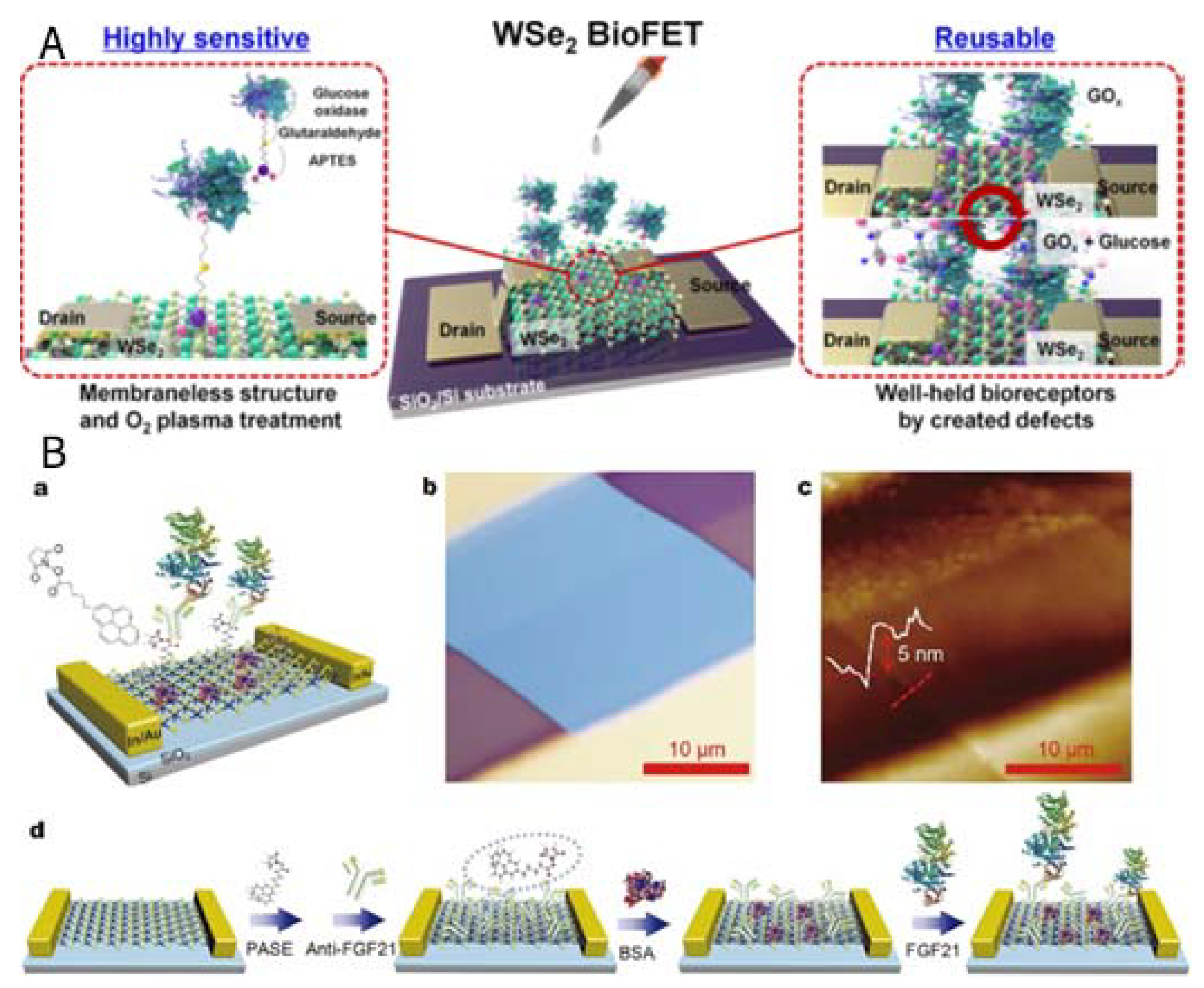 Sensors Free Full Text Recent Progress On Semiconductor Interface Facing Clinical Biosensing Html