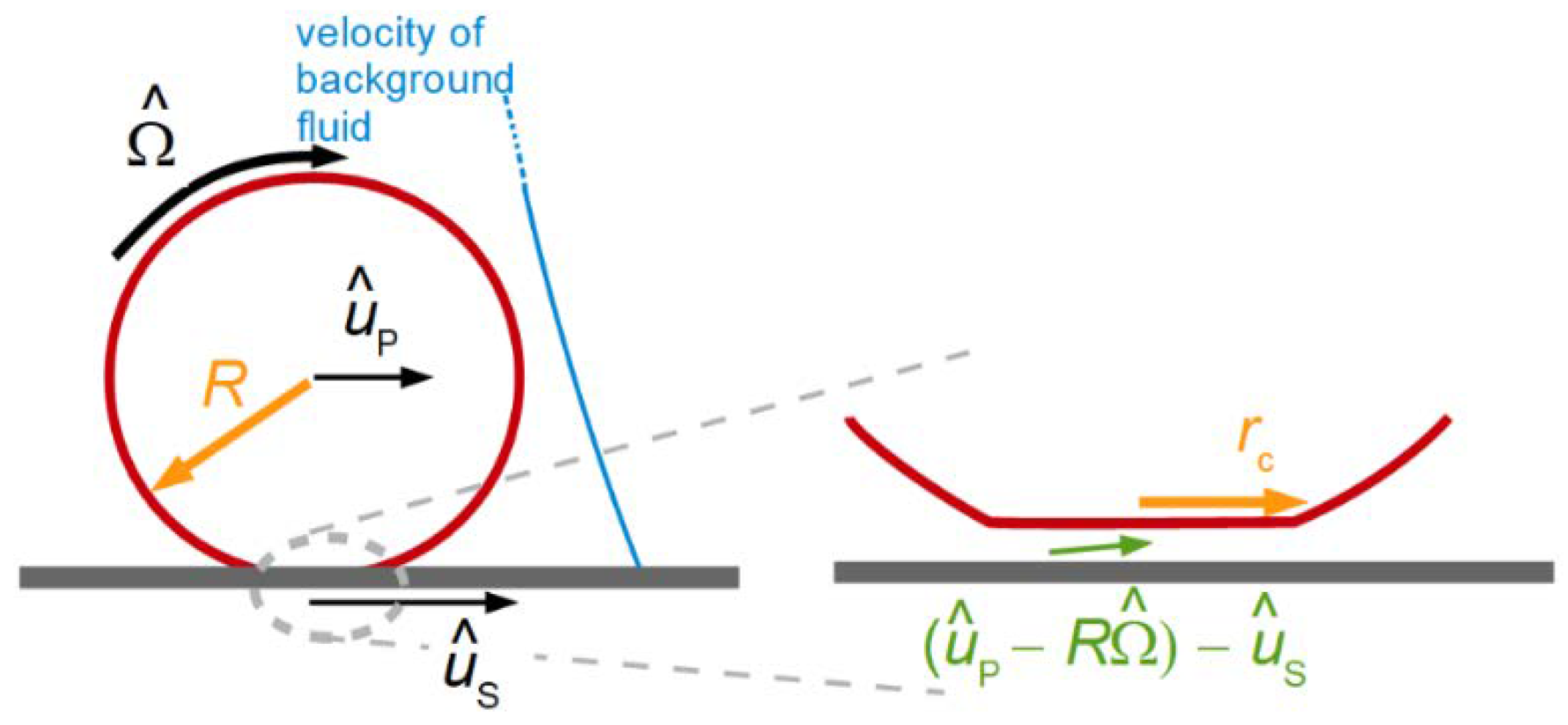 Sensors Free Full Text Studying Soft Interfaces With Shear Waves Principles And Applications Of The Quartz Crystal Microbalance Qcm Html