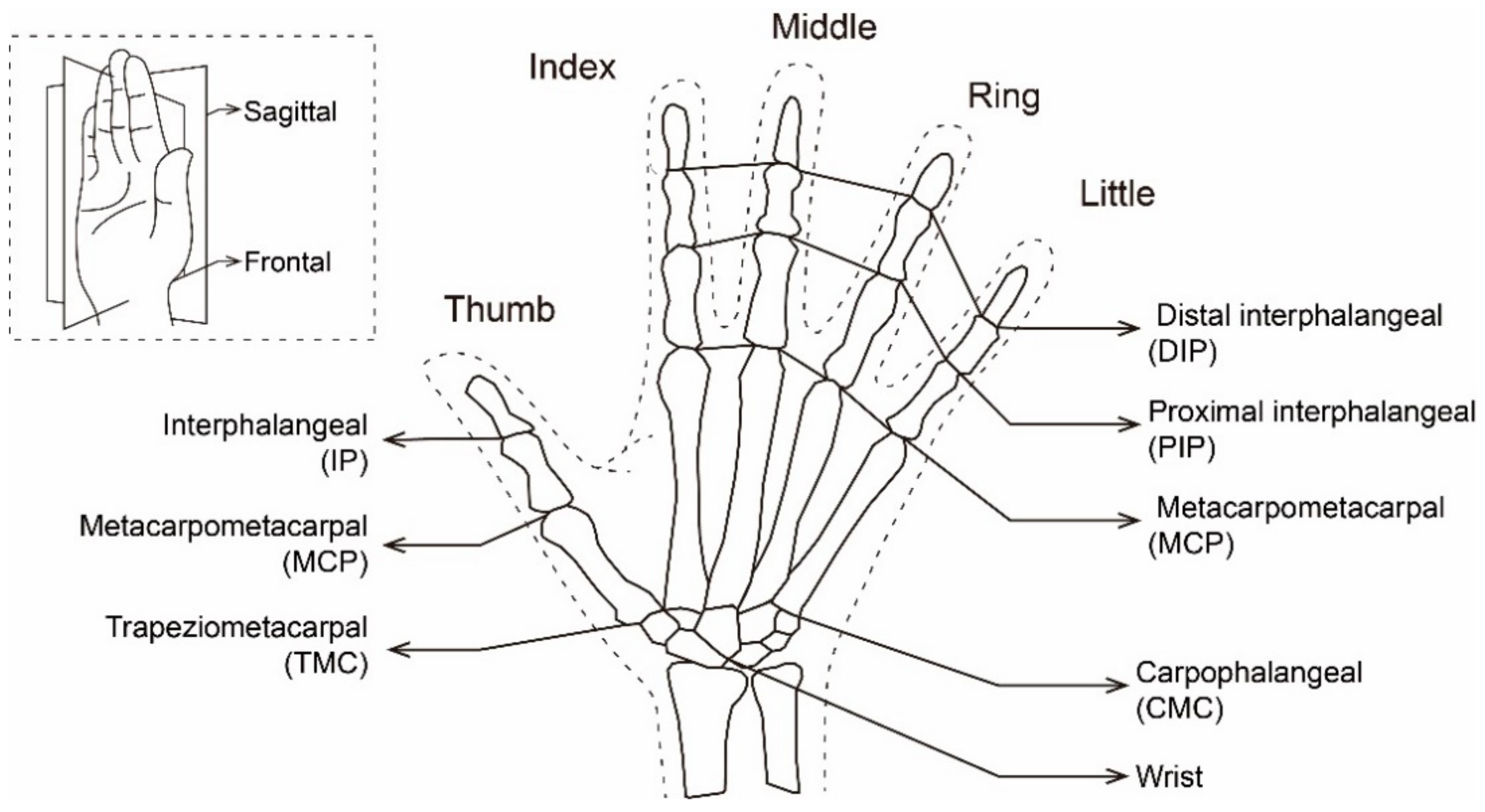 Sensors | Free Full-Text | Research on Discrete Semantics in Continuous Hand  Joint Movement Based on Perception and Expression | HTML