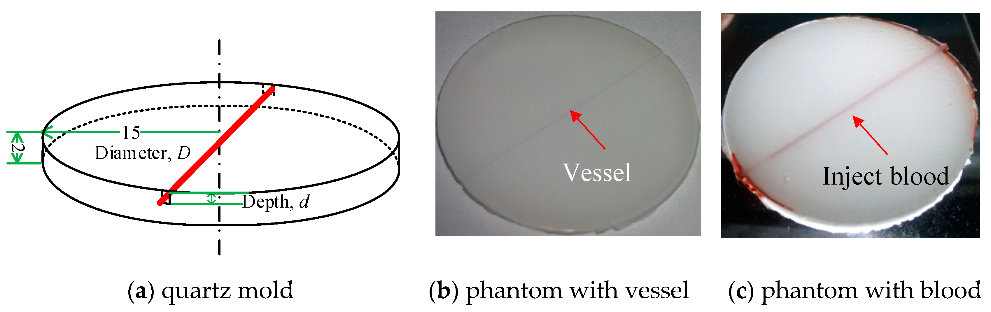 Sensors 21 03745 g003 Sensors 21 03745 g003