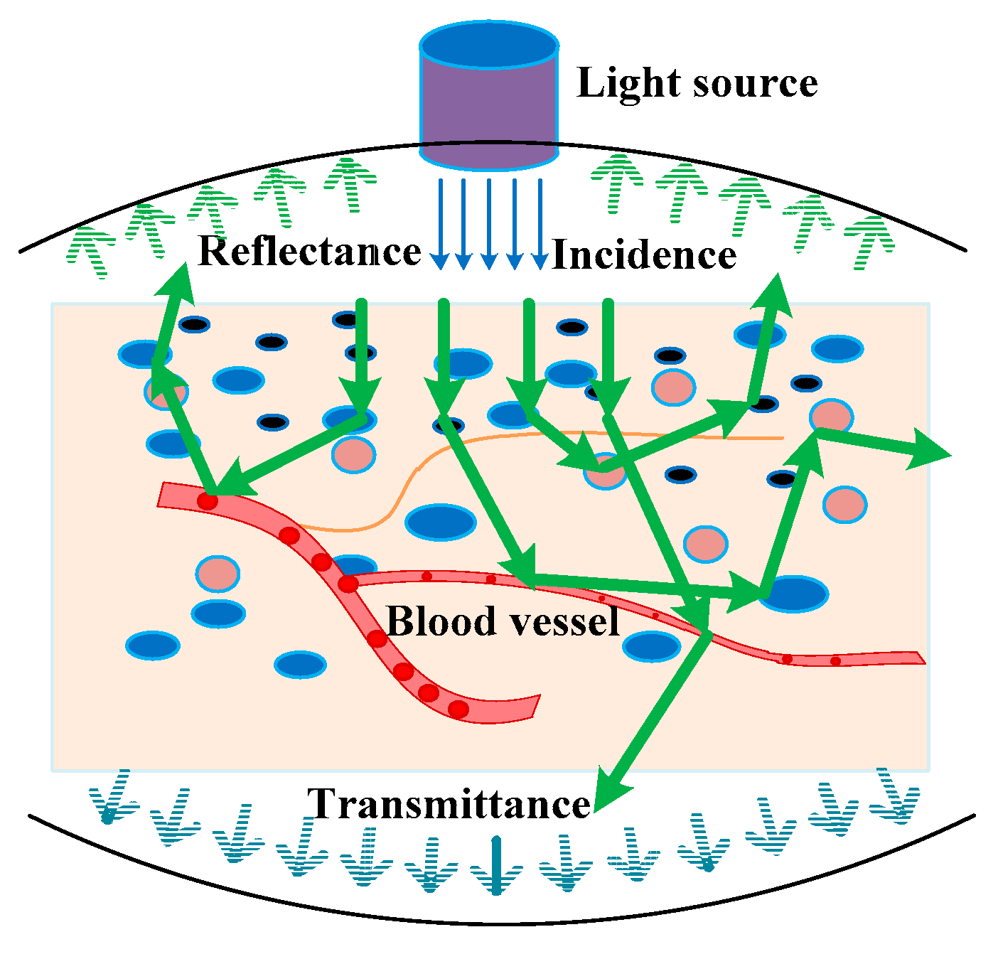 Sensors 21 03745 g005 Sensors 21 03745 g005