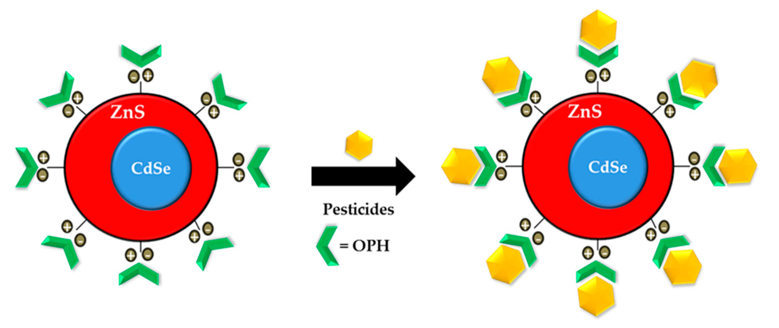 Sensors 21 03856 g004