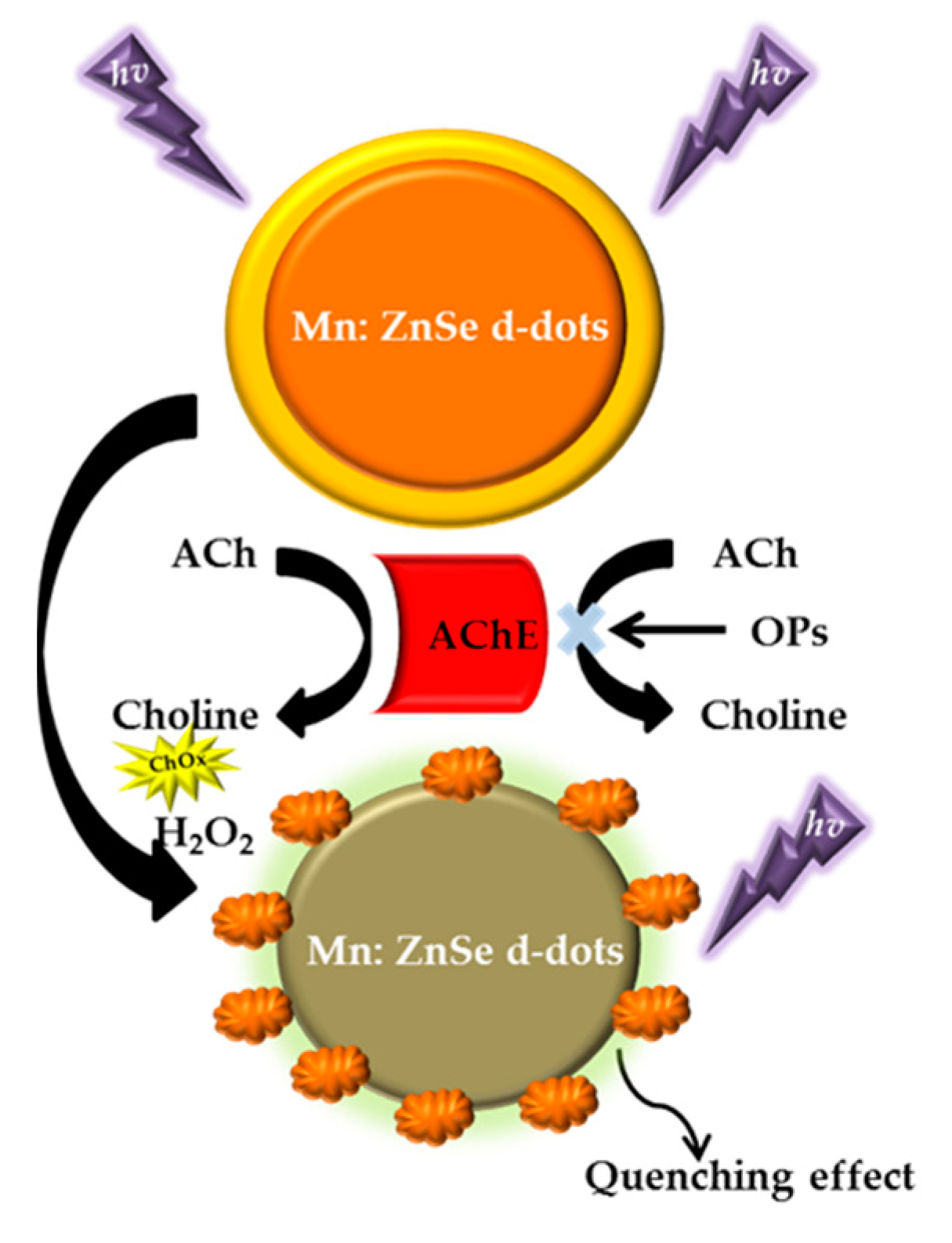 Sensors 21 03856 g005