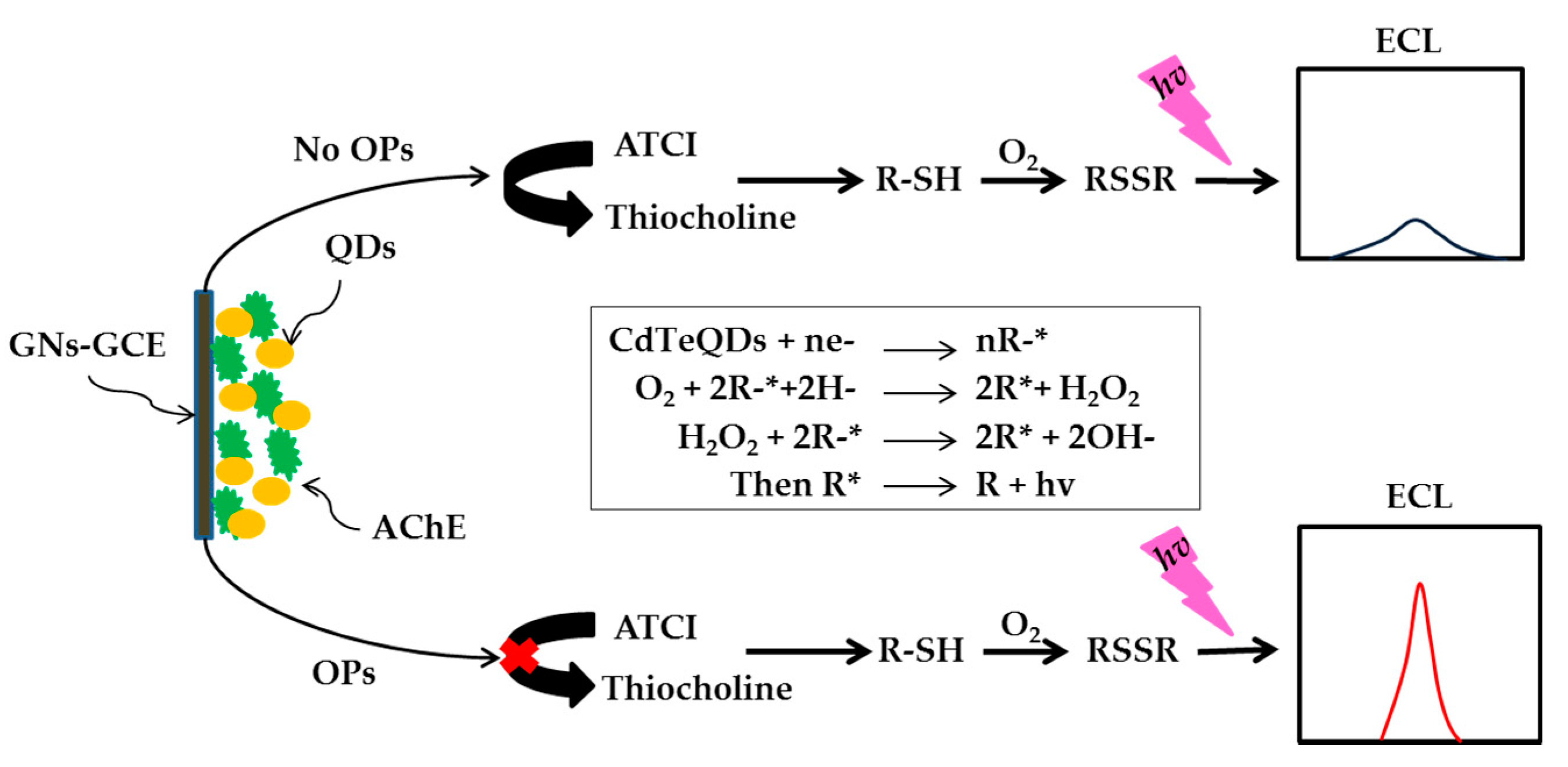 Sensors 21 03856 g007